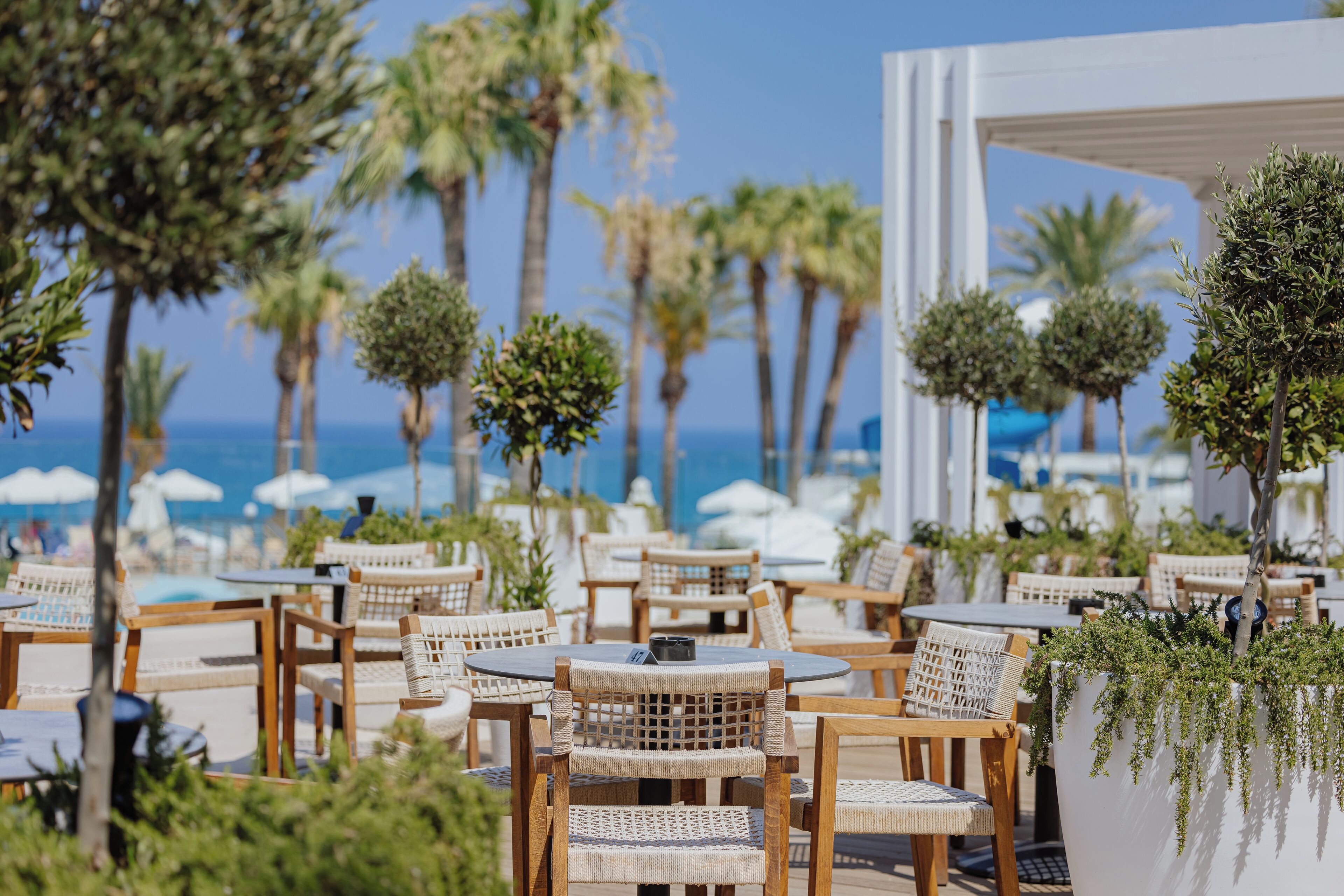 4 bars/lounges, 2 beach bars, poolside bar