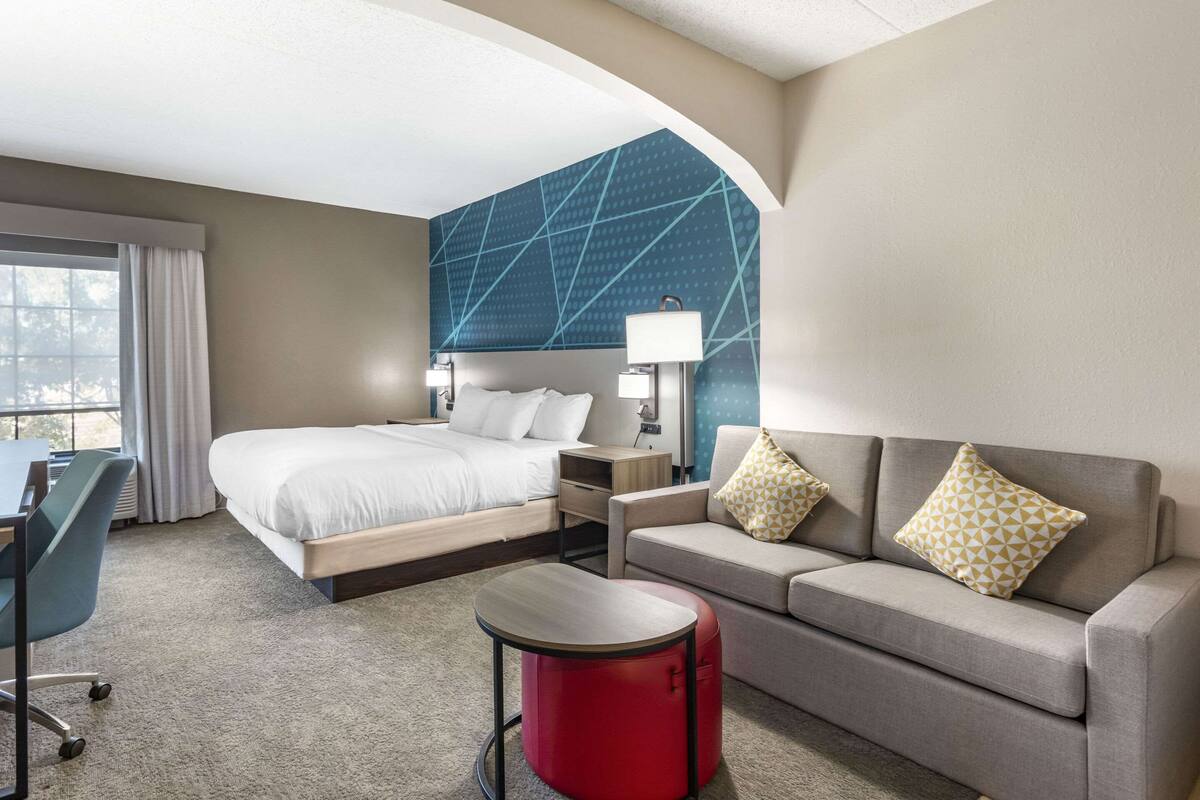 Una habitación de hotel con una cama, un sofá, un escritorio y un cubo de basura rojo.