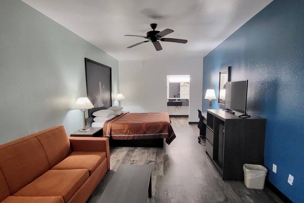A hotel room with a bed, a sofa, a desk, a TV, and a ceiling fan.