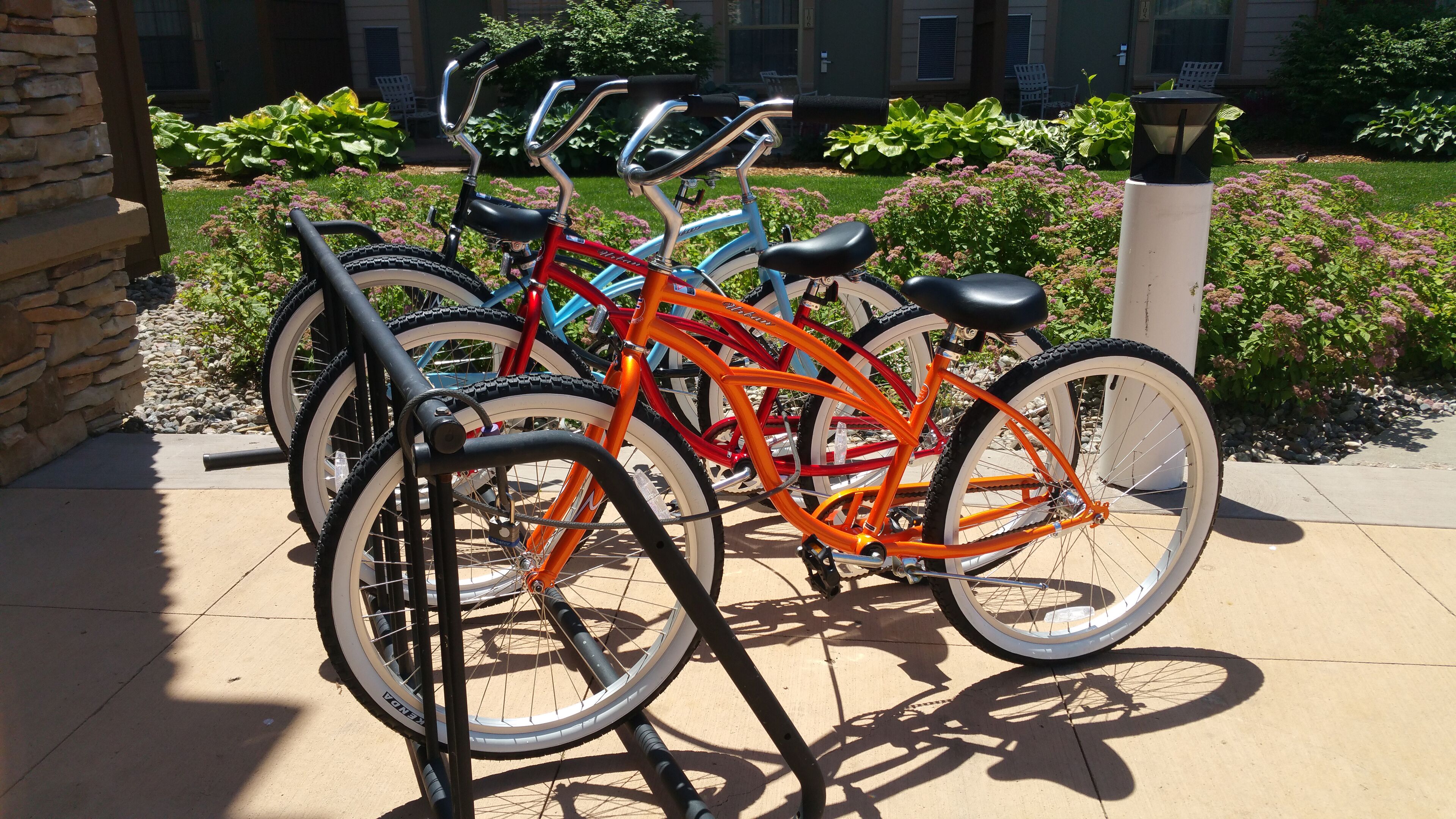 A row of bicycles parked on a concrete surface with a stone wall and greenery in the background.