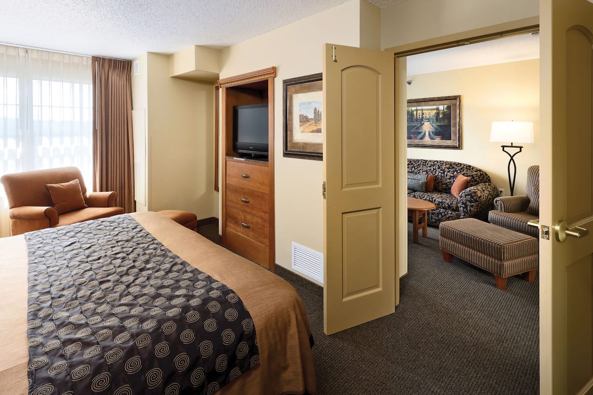 Une chambre d’hôtel avec un lit, une télévision, un canapé, une chaise et une lampe.