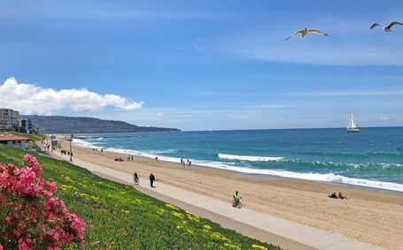 Playa