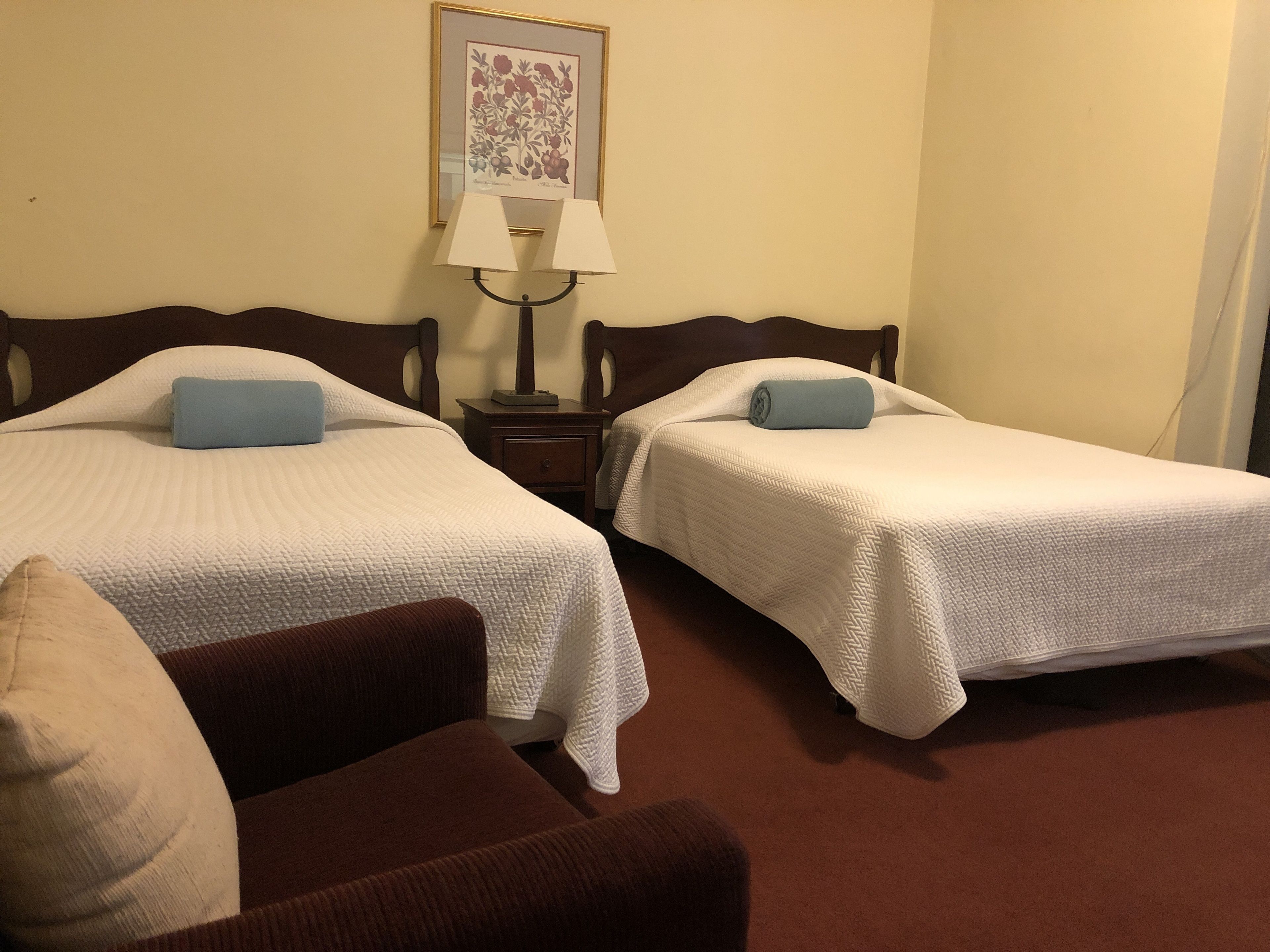 Two single beds with white bedding, a nightstand with a lamp, a framed botanical print on the wall, and a brown armchair.