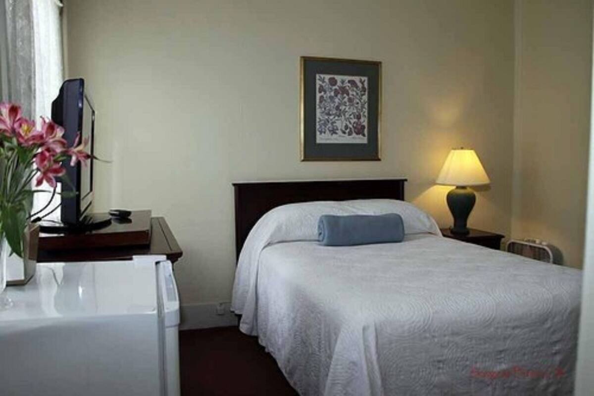 Habitación de hotel con cama, escritorio con lámpara, un cuadro en la pared y una planta en el escritorio.