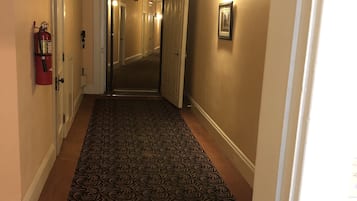 Senior Suite, 1 King Bed | View from room