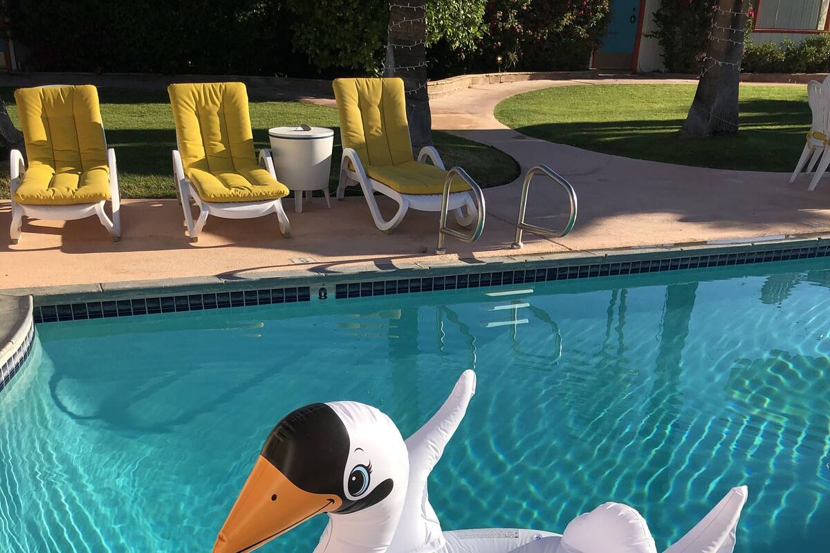 A swimming pool with a swan inflatable float.