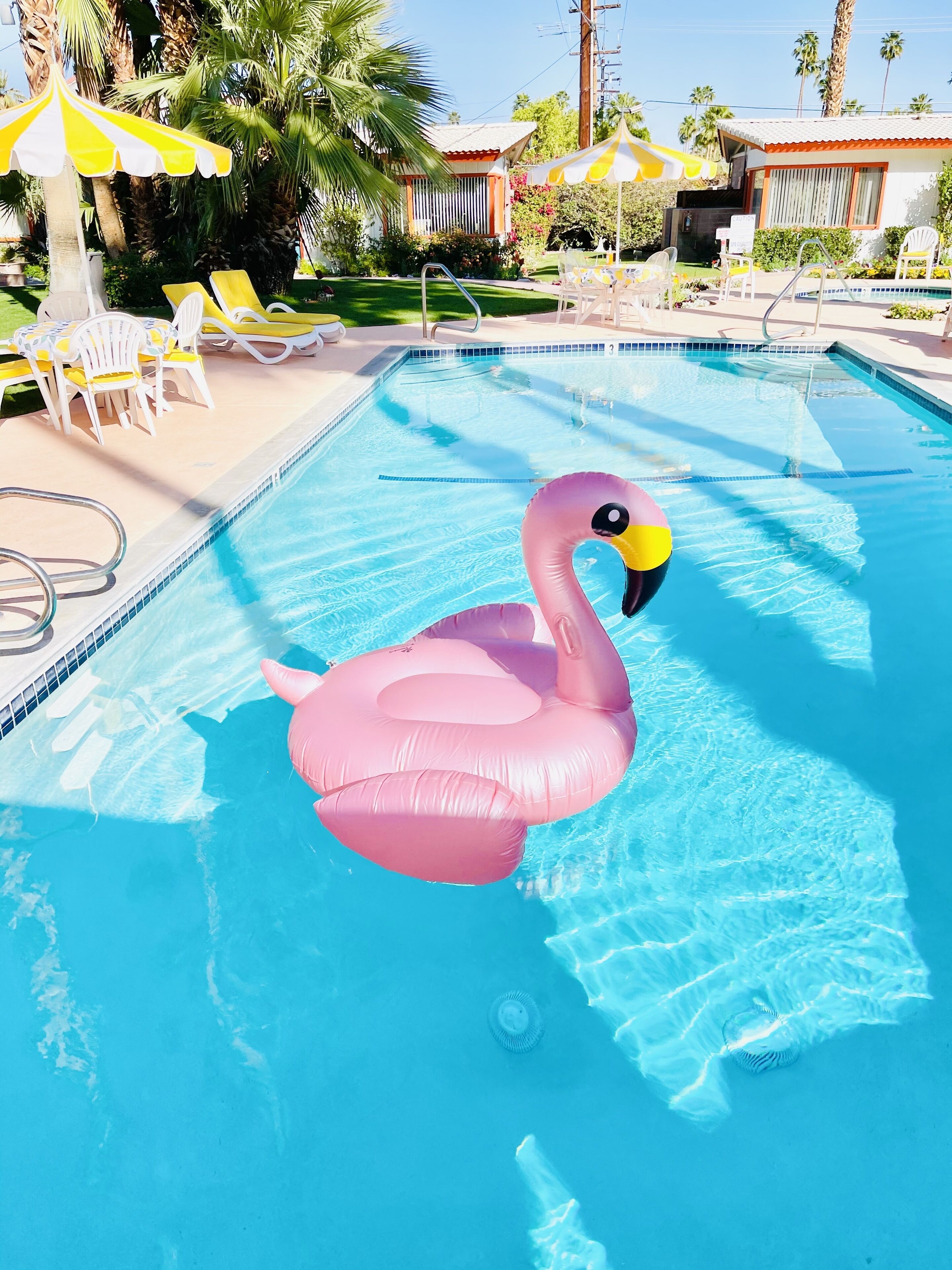 outdoor pool, free pool cabanas, pool umbrellas