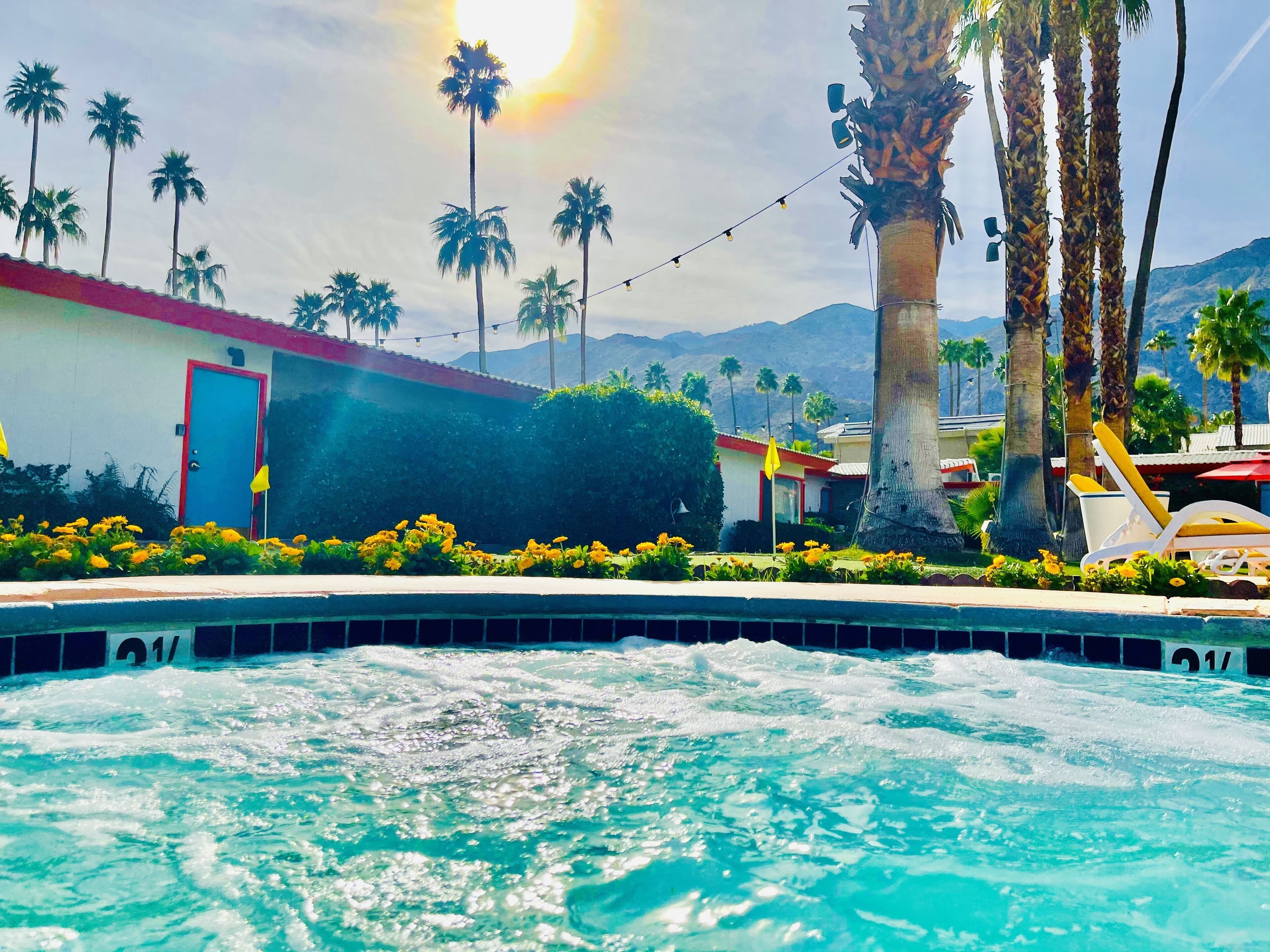 A swimming pool with clear water, surrounded by palm trees and a building with a red door.