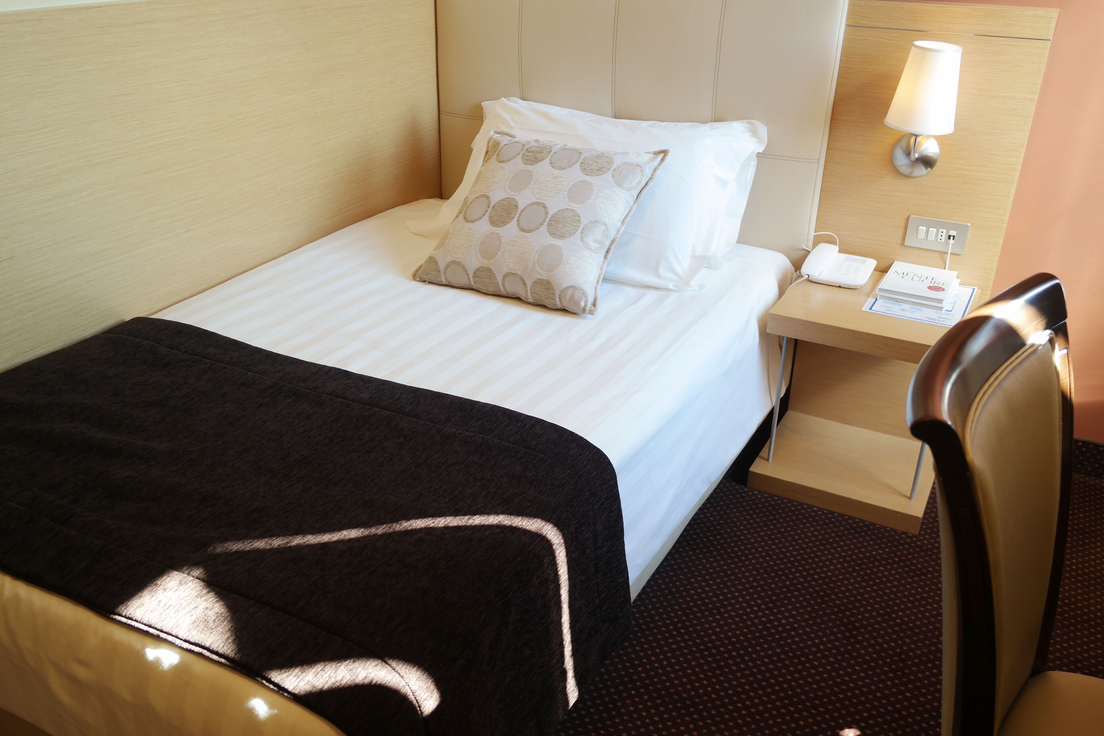 economy single room | 1 bedroom, hypo-allergenic bedding, down duvets, minibar