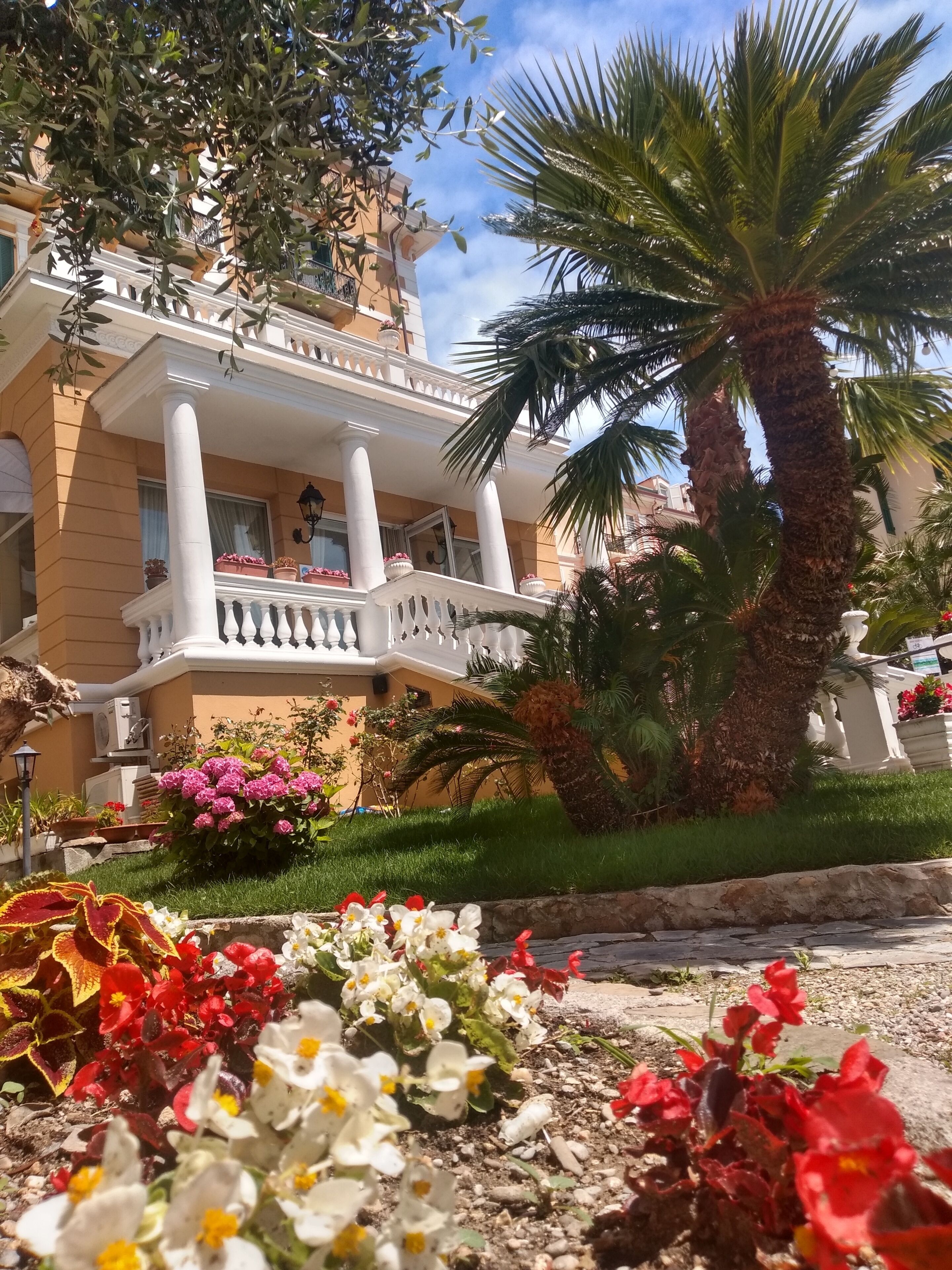 Foto - Hotel Morandi