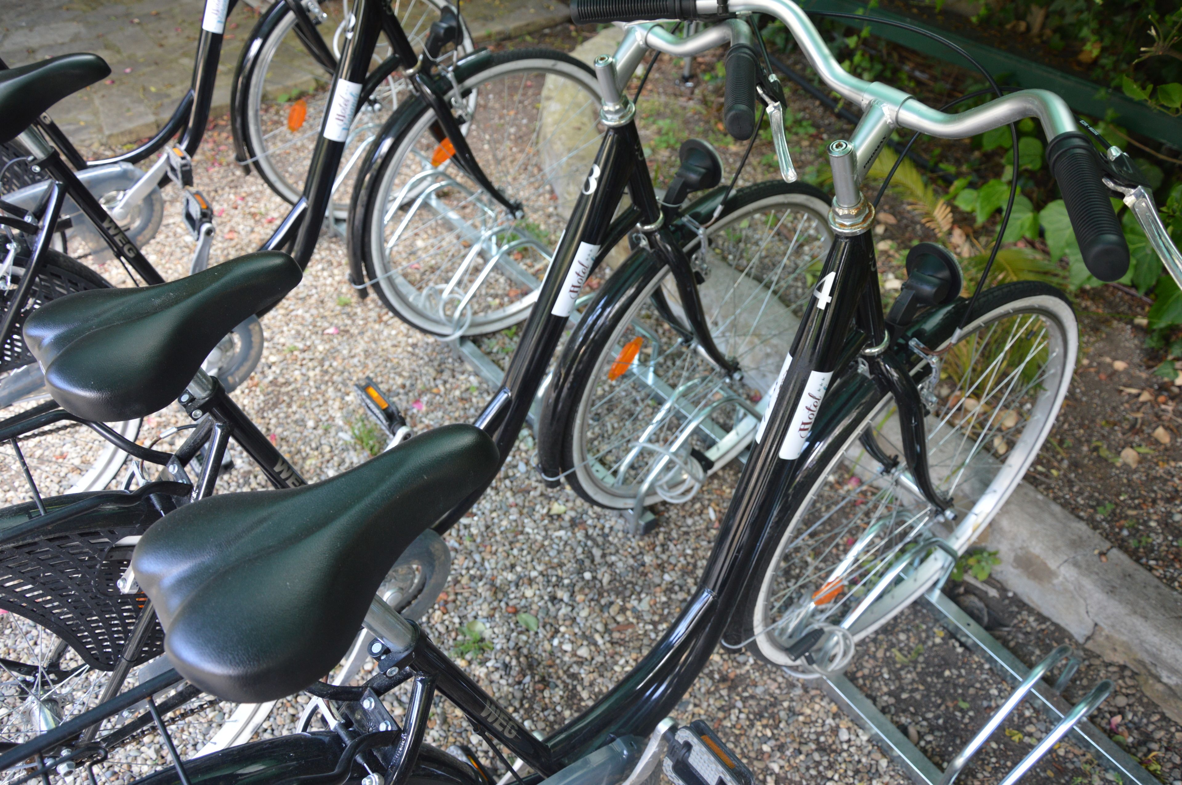 Foto - Hotel Morandi