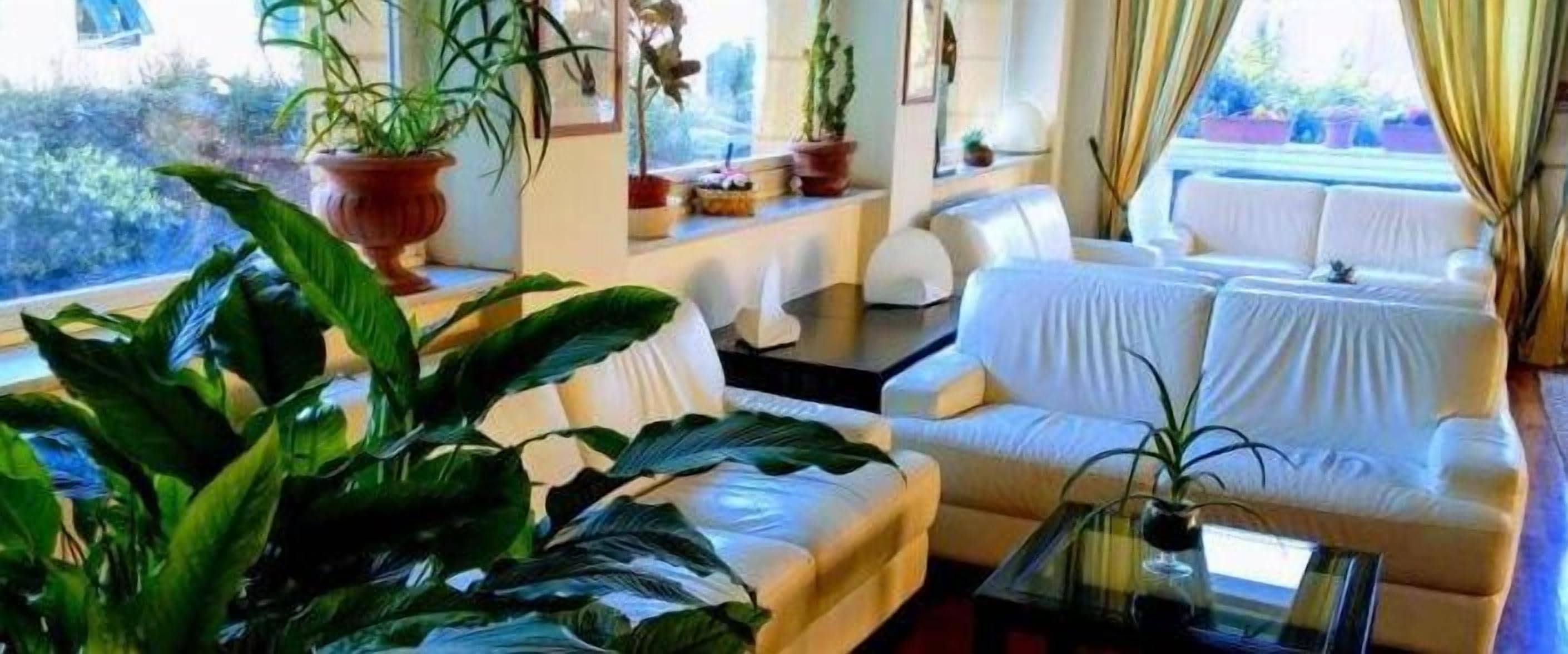 Foto - Hotel Morandi