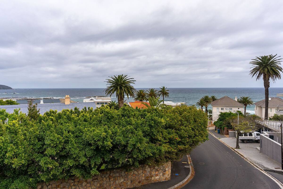 A coastal street with a stone wall, palm trees, and houses with ocean views.