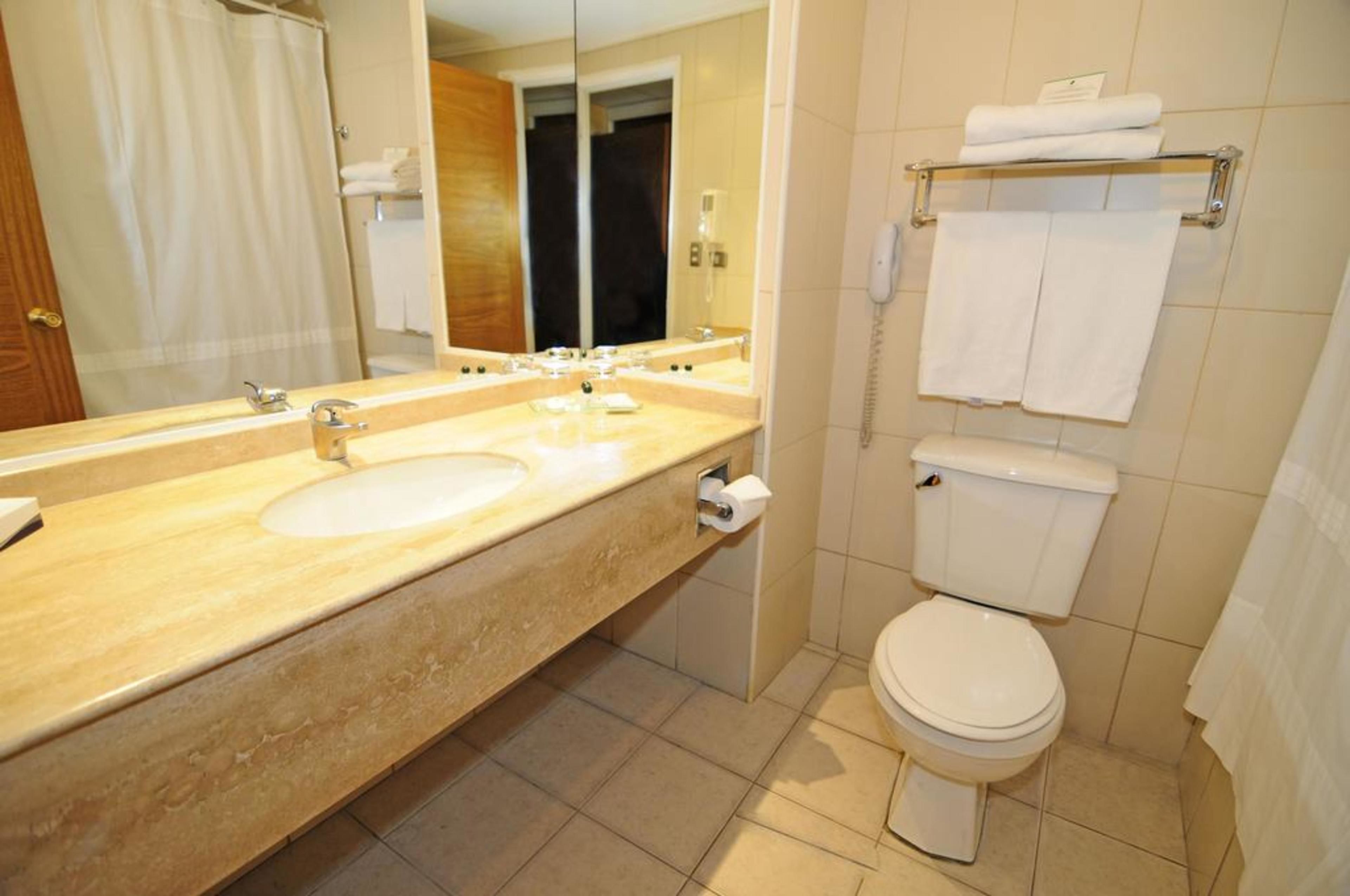 combined shower/bathtub, hair dryer, towels