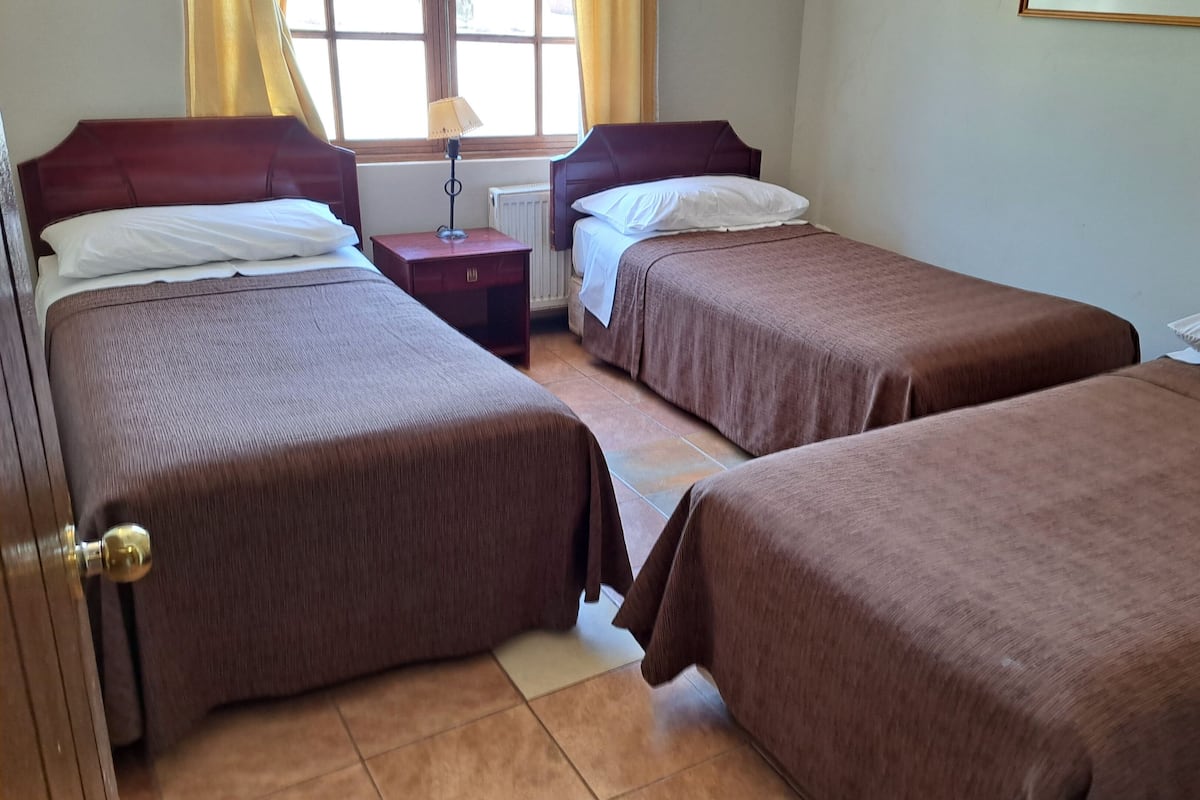 A room with two single beds, a nightstand, a lamp, and a window with curtains.