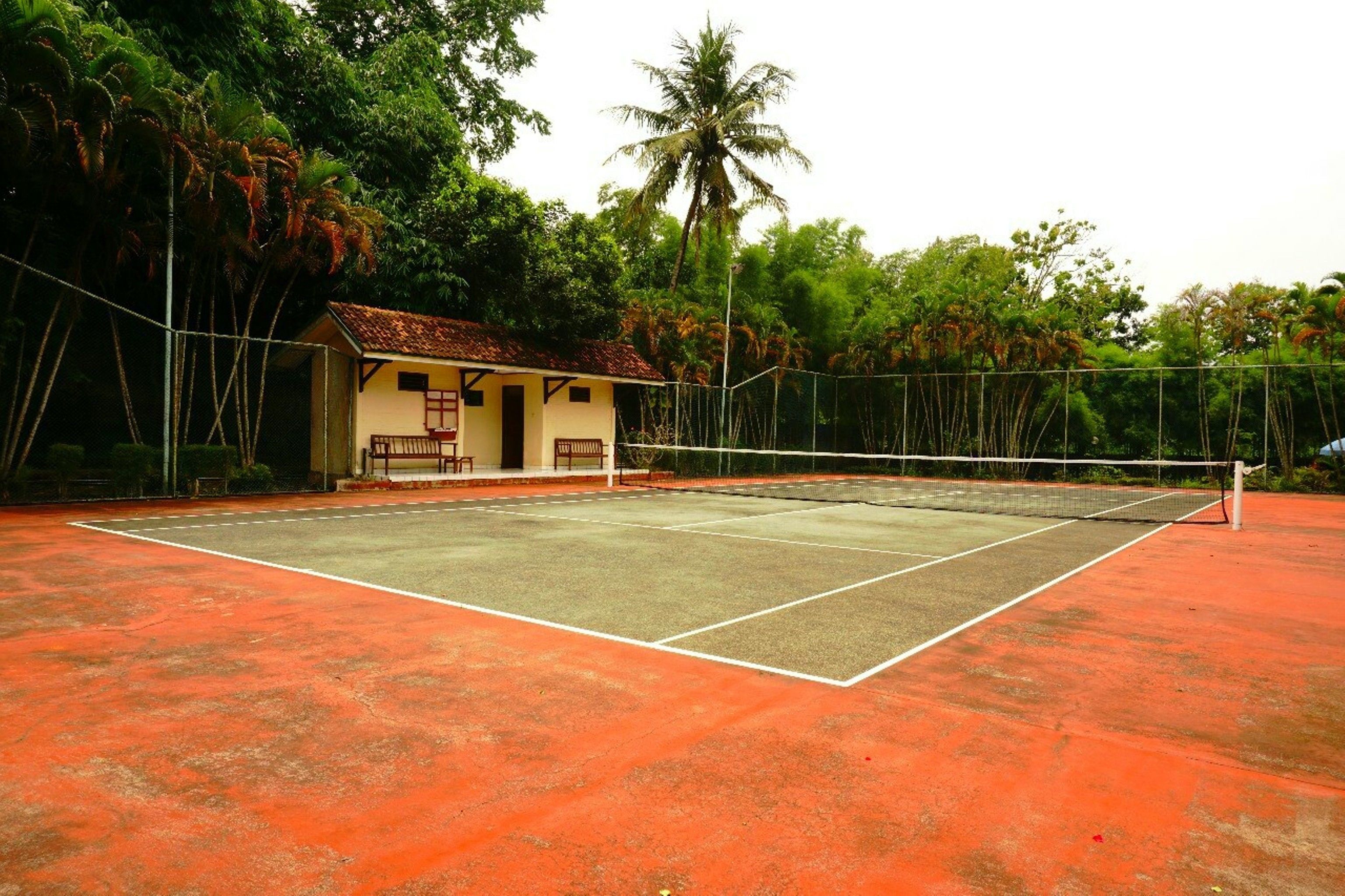 A tennis court with a net, surrounded by a fence and trees.