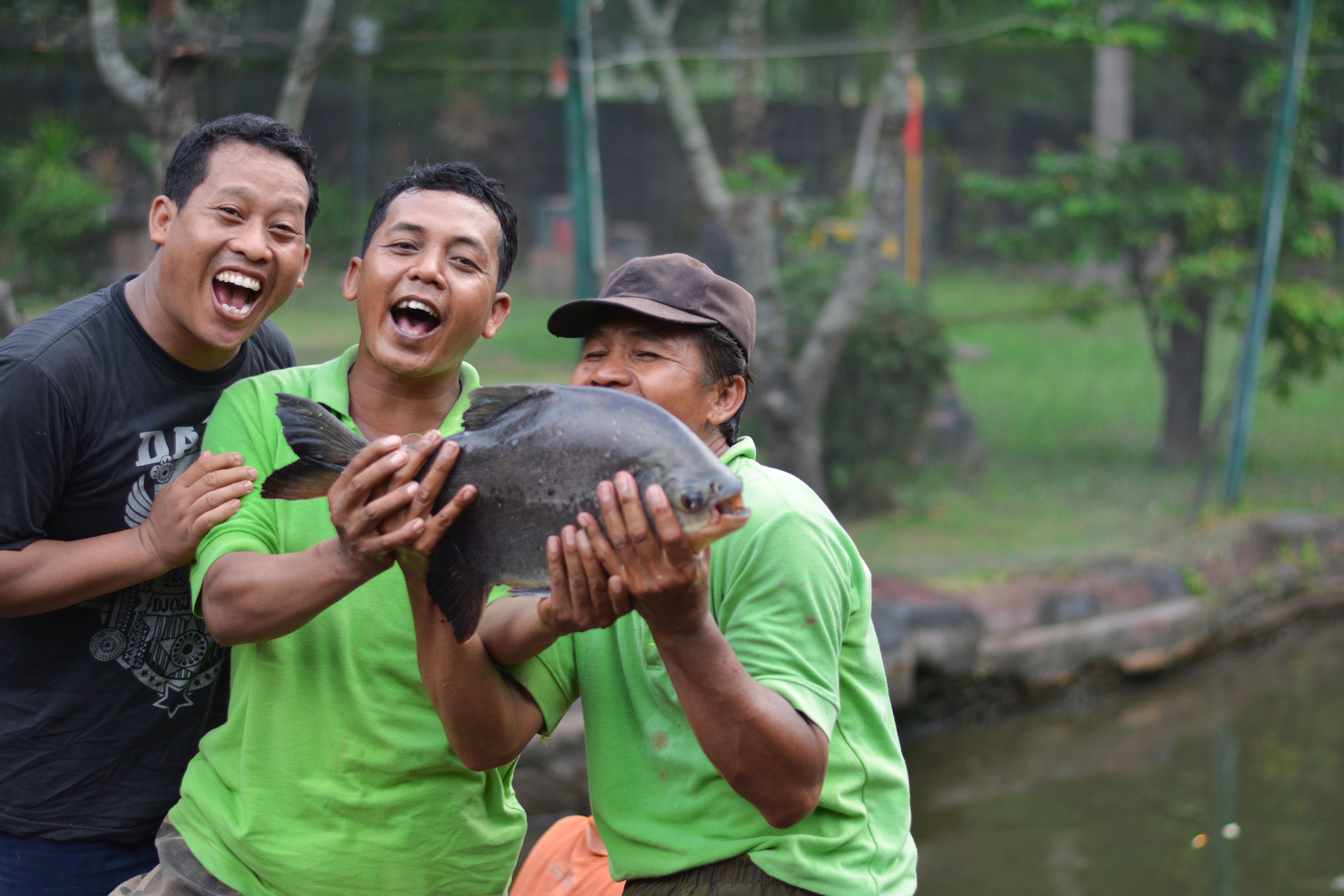 Three people holding a large fish.