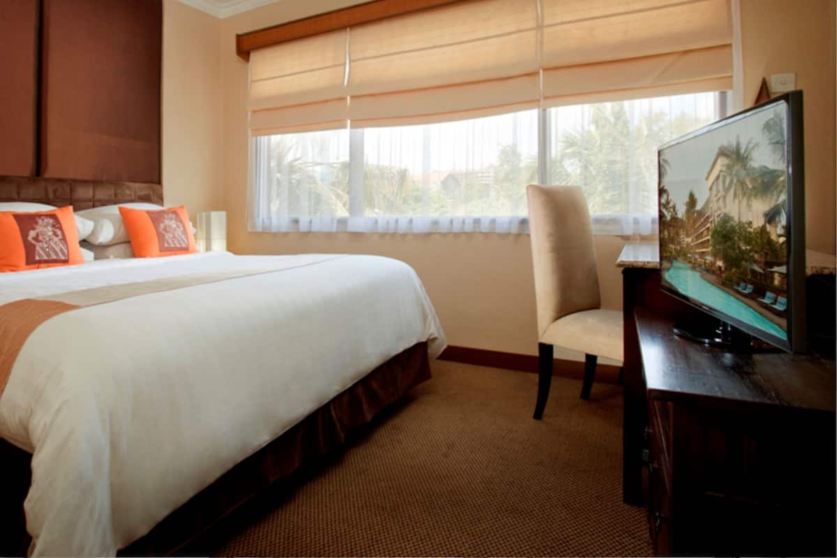 Habitación de hotel con una cama grande, televisión y vista a palmeras a través de la ventana.