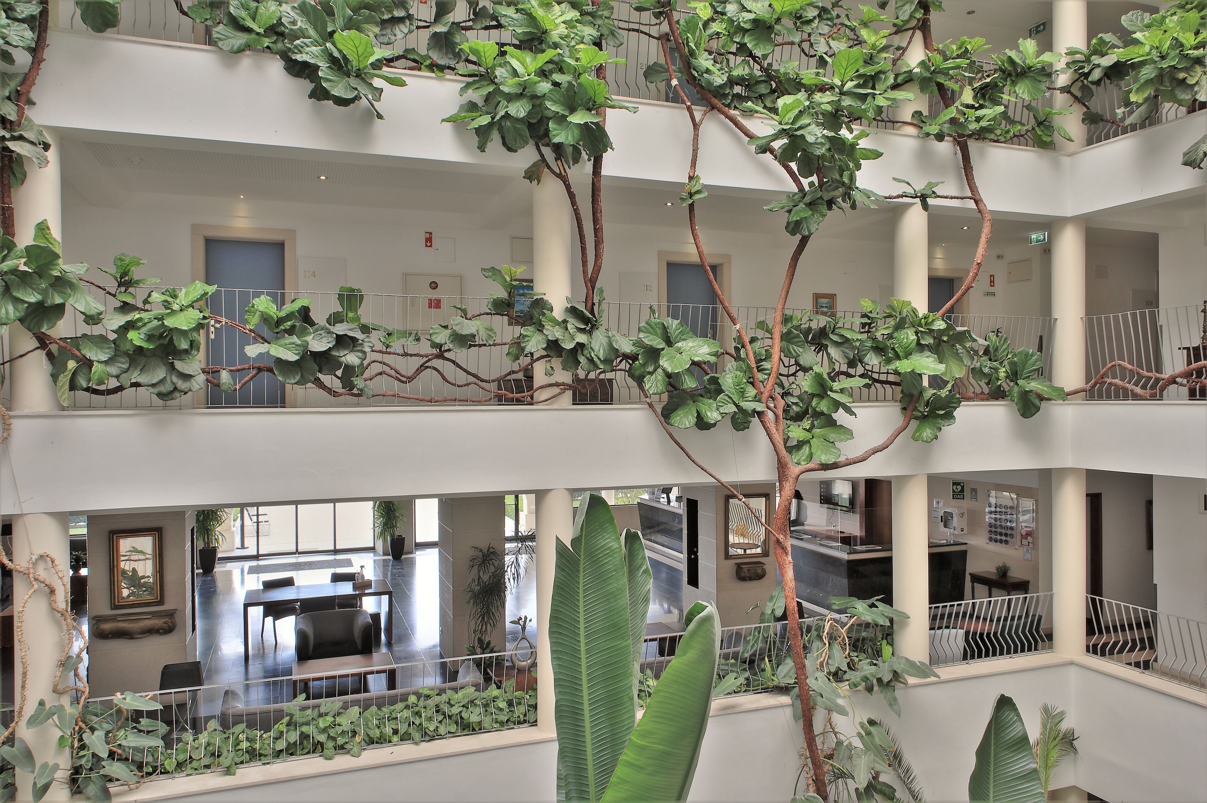 A multi-level atrium with indoor plants, a reception desk, and seating areas.