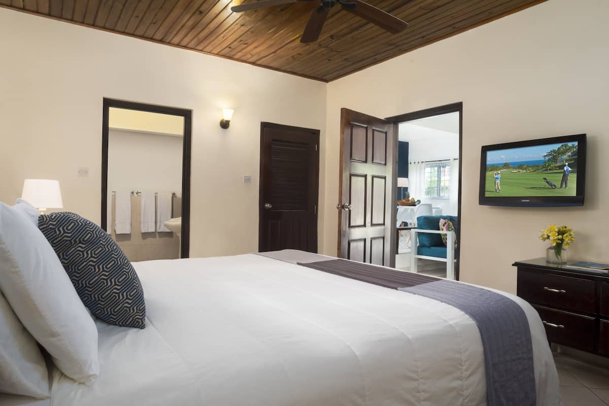 One Bedroom Apartment | View from room