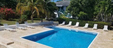 A rectangular swimming pool with white lounge chairs around it, surrounded by palm trees and a building in the background.