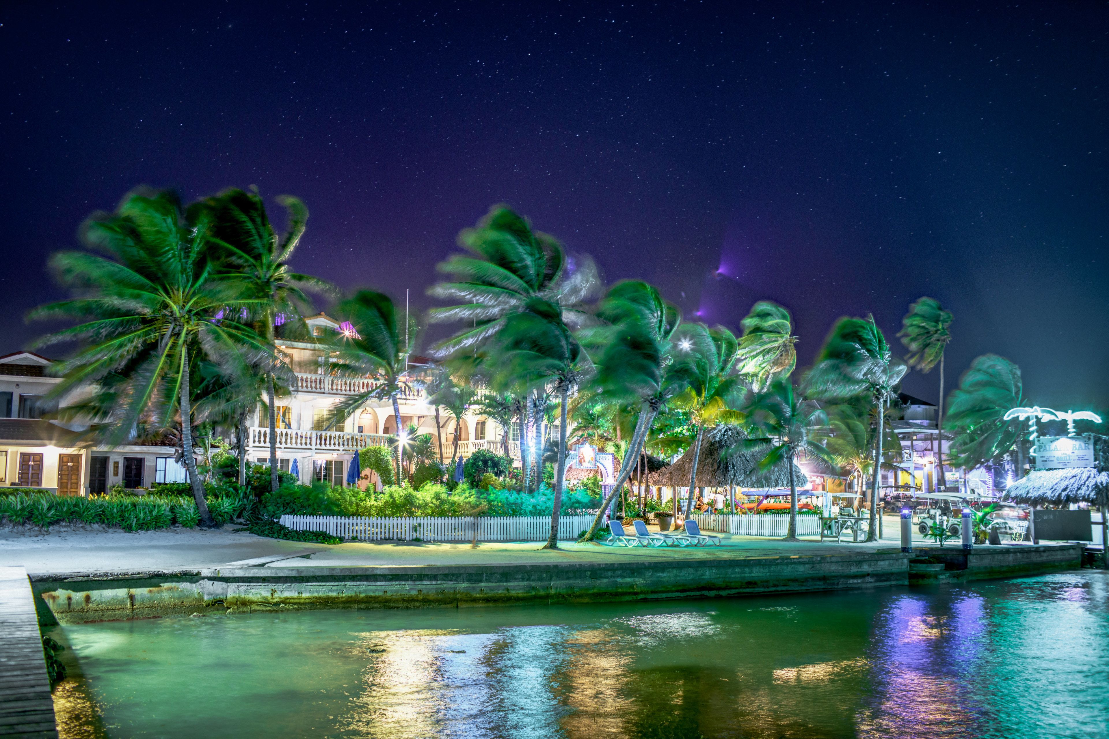 A waterfront hotel with palm trees, a pool, and a night sky.