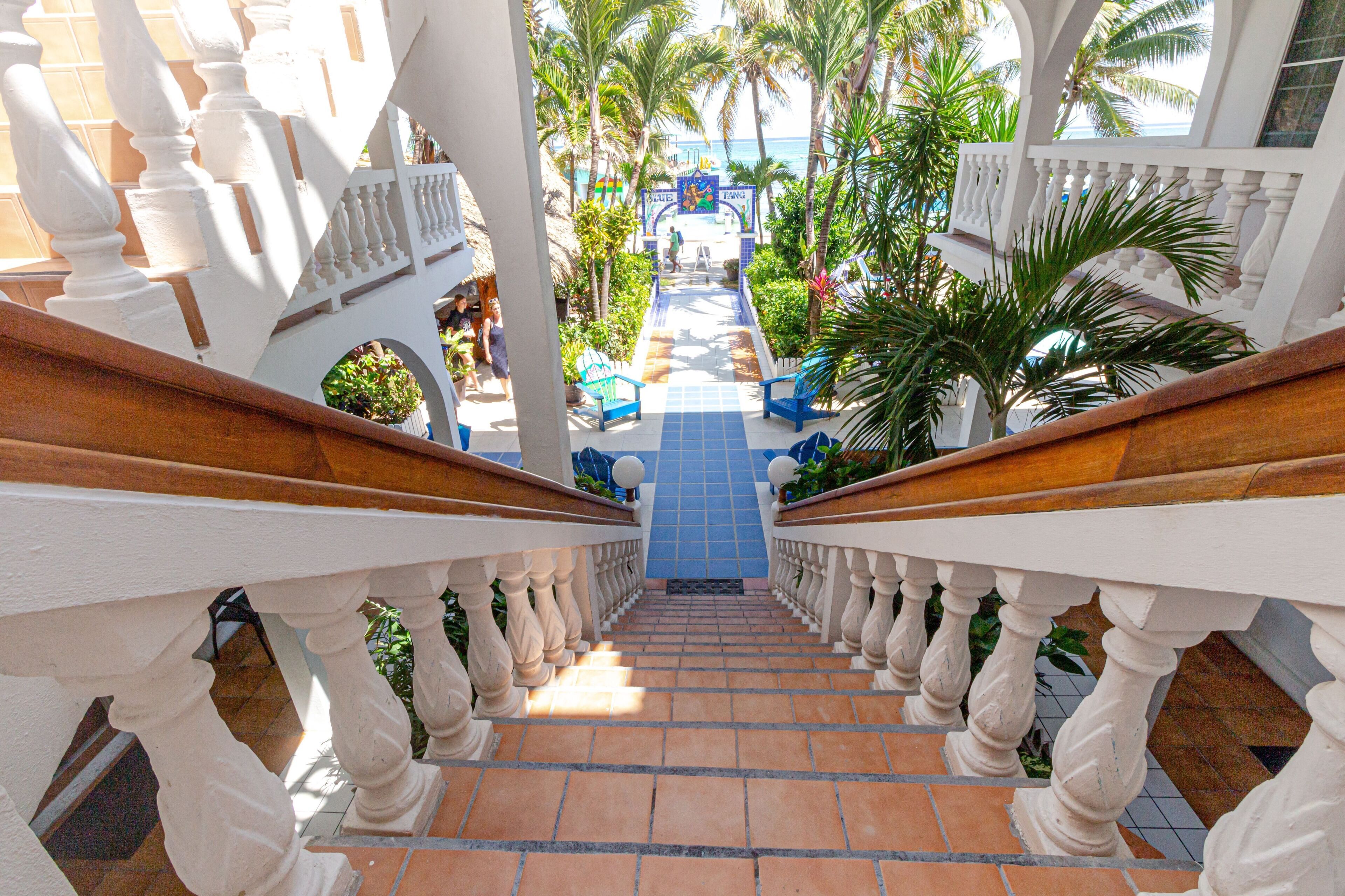 A staircase with white balustrades leading to a pool area with blue chairs and palm trees.