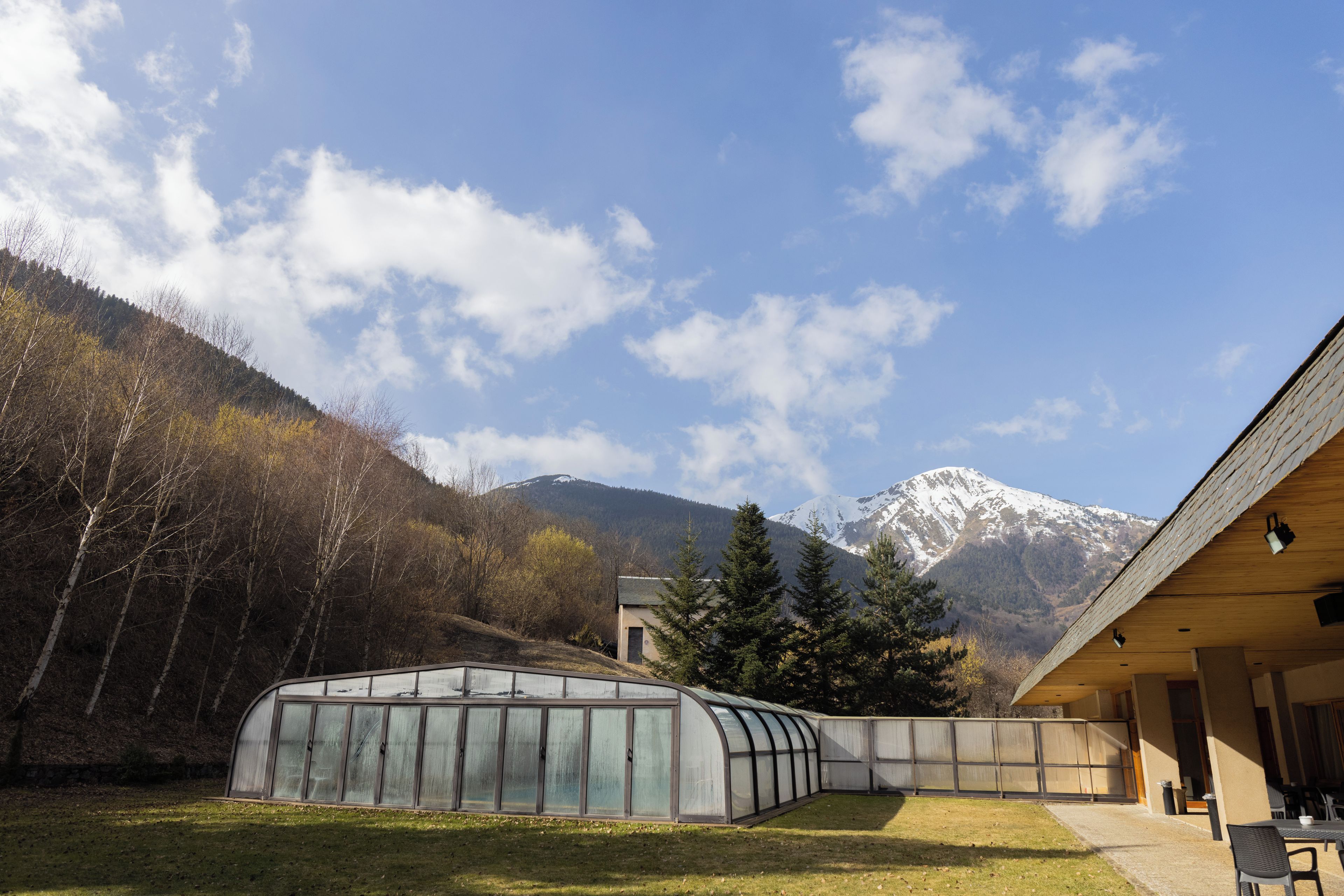 Une serre dotée d’un toit incurvé, entourée d’une zone herbeuse et d’arbres, avec une montagne en arrière-plan.