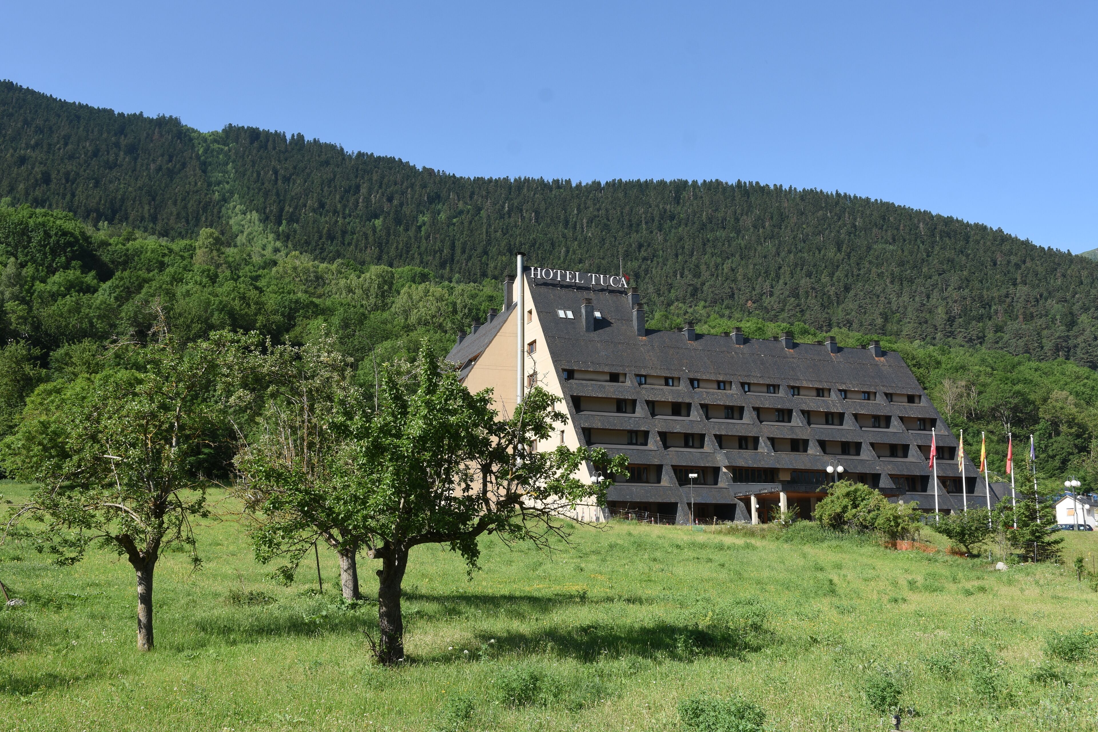 A hotel with a modern architectural design, surrounded by a lush green landscape and a forested hill in the background.