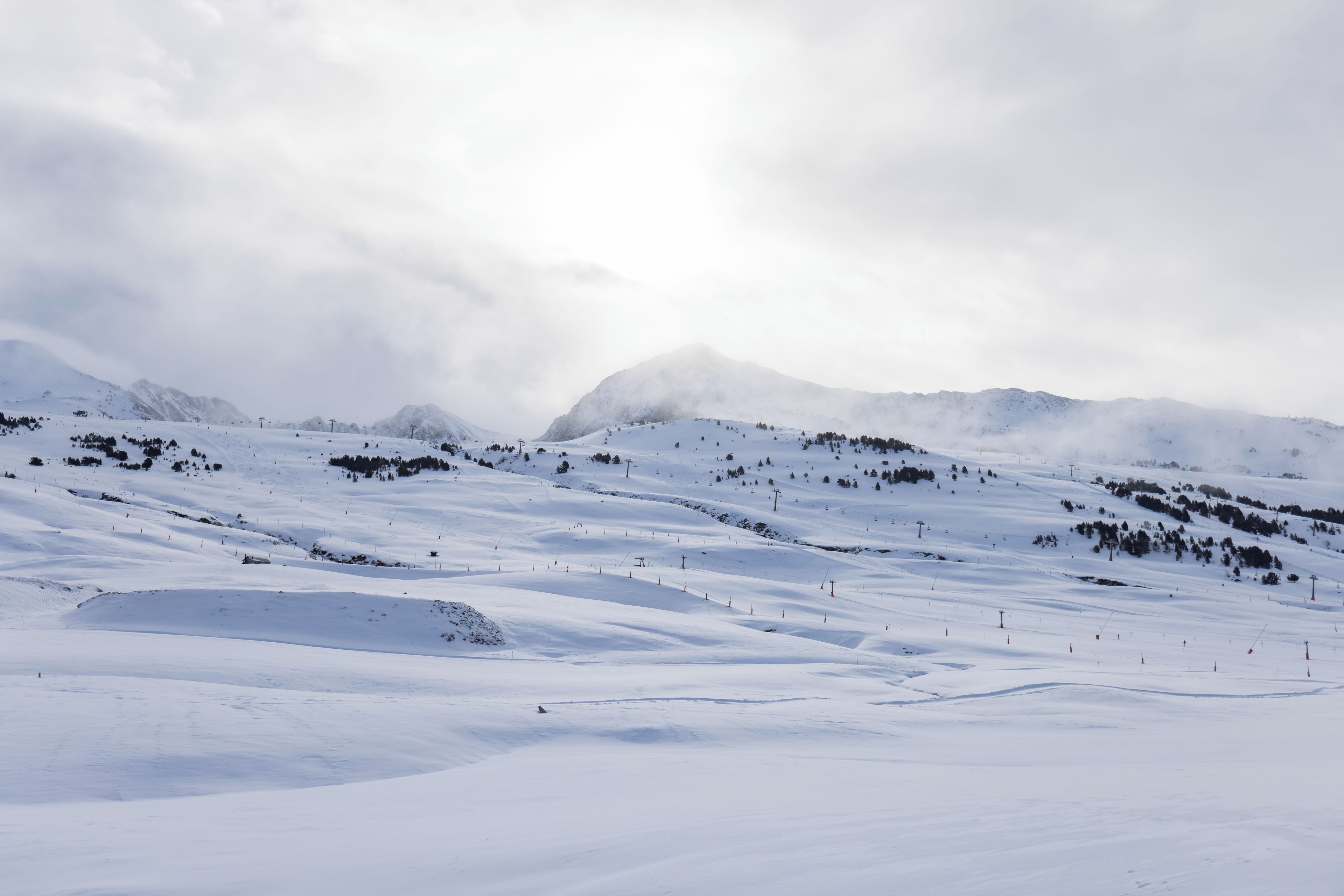 Une piste de ski enneigée, avec des remontées mécaniques et des arbres.