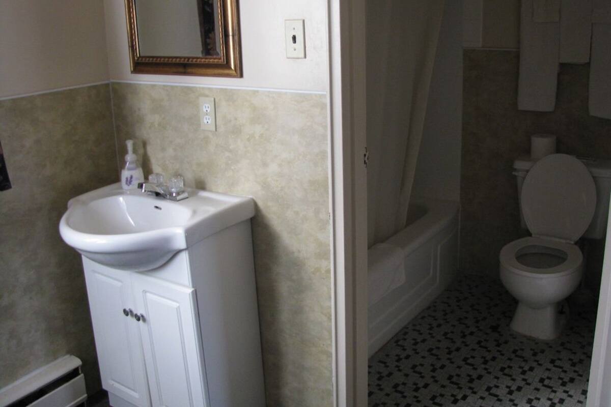 Combined shower/bathtub, free toiletries, towels