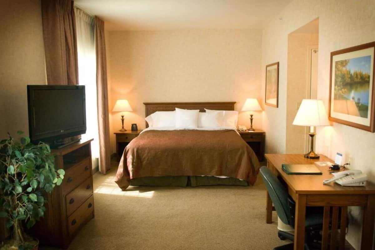 Una habitación de hotel con cama, lámparas de noche, un escritorio con teléfono, televisor y una planta.