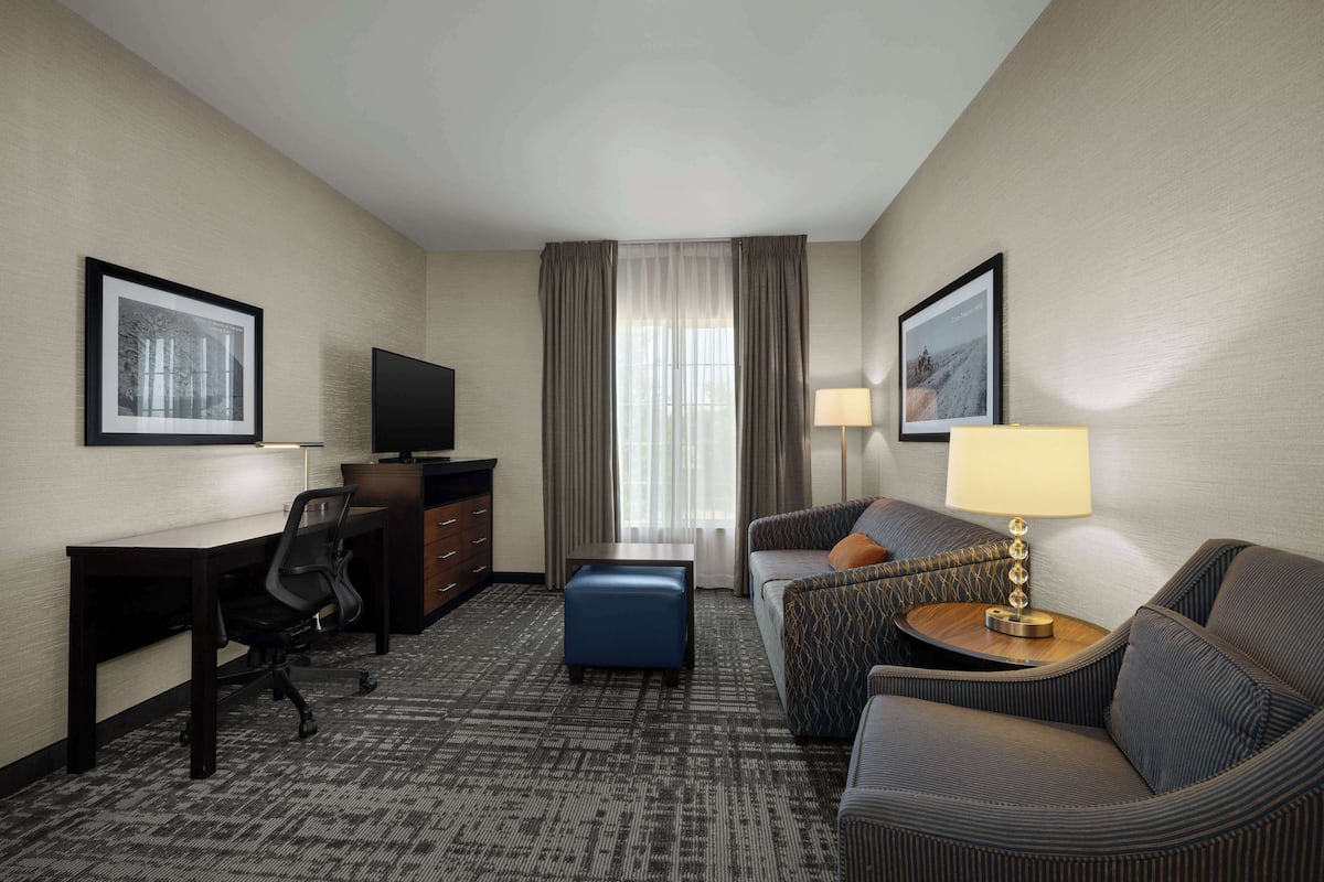 standard suite, 1 king bed, non smoking | living area | tv