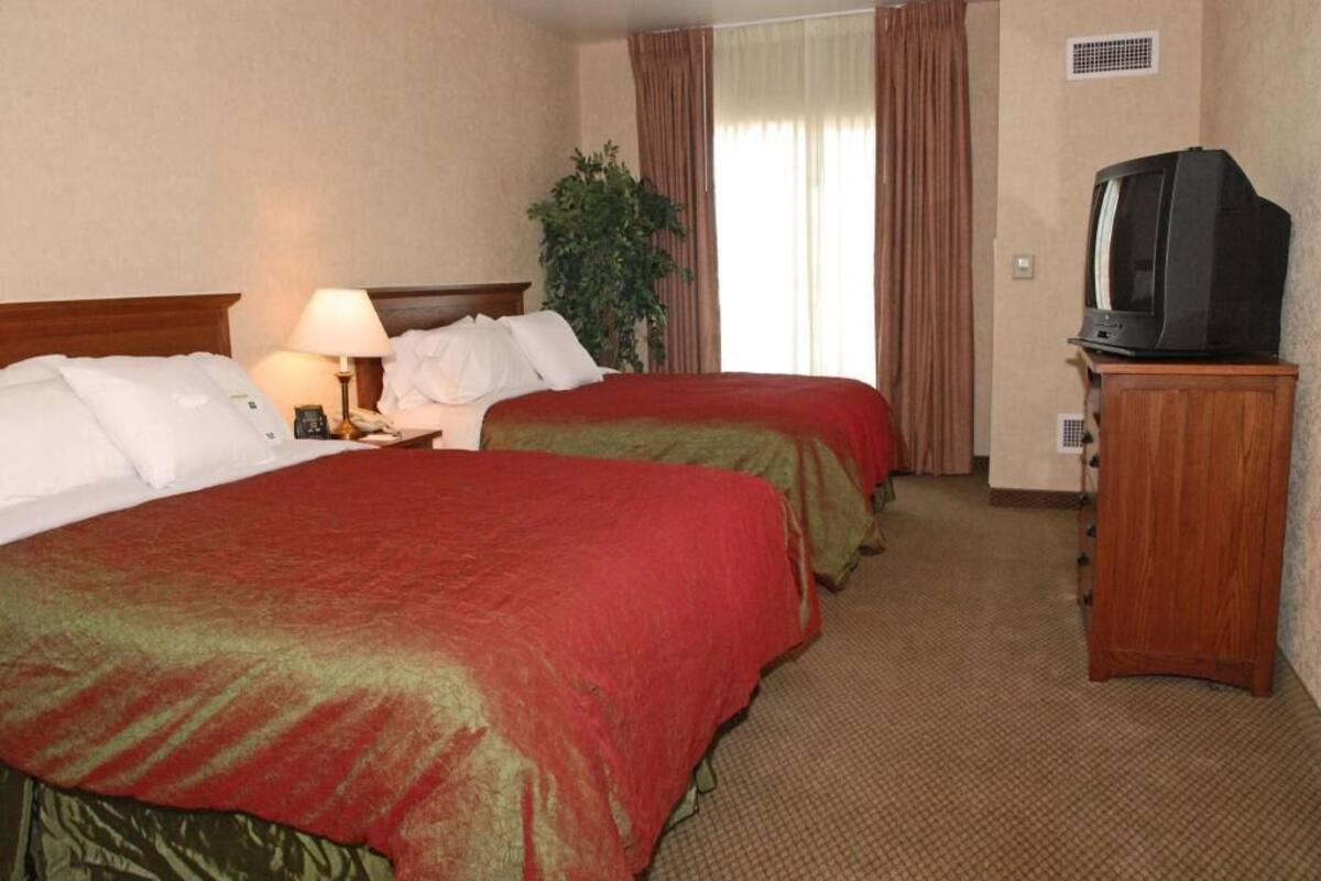 Una habitación de hotel con dos camas, un televisor sobre un mueble de madera y una planta.