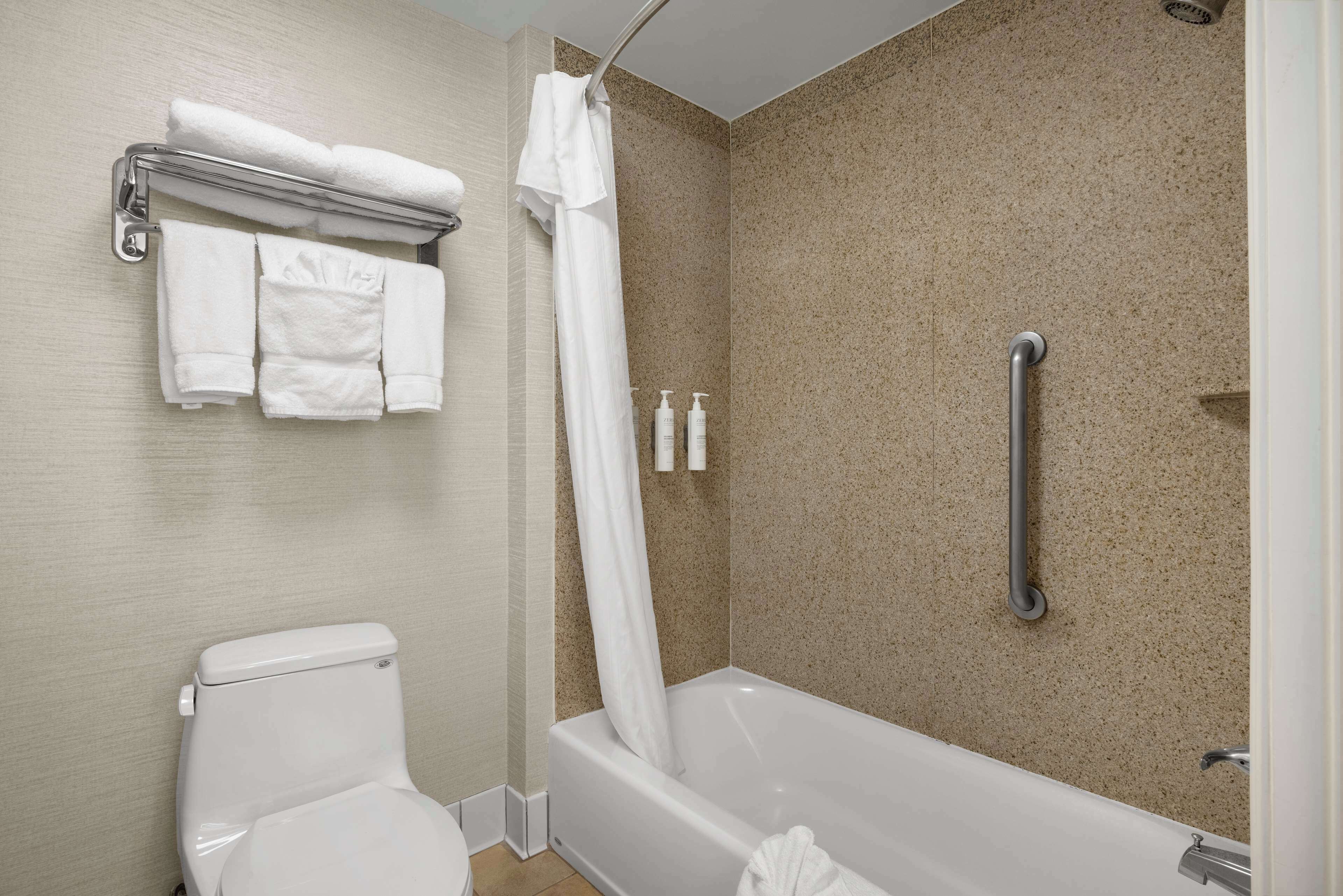 combined shower/bathtub, free toiletries, hair dryer, towels