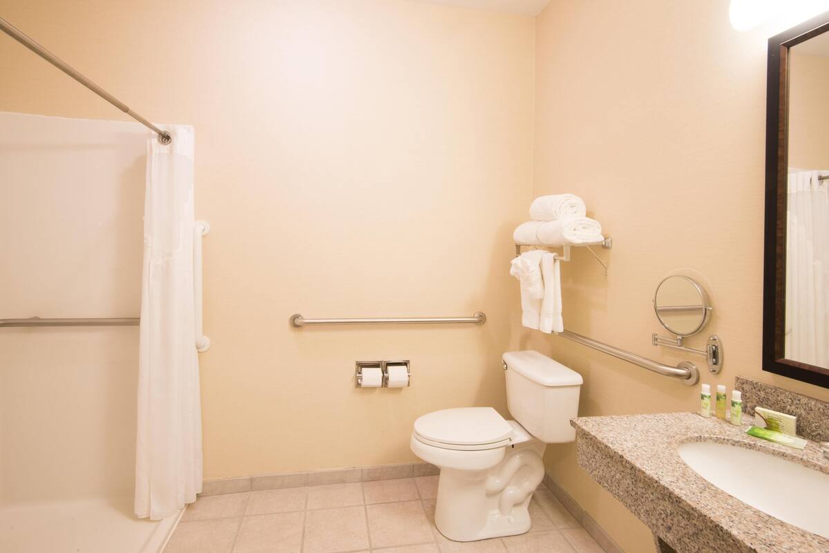 Une salle de bain équipée de toilettes, d’un lavabo, d’un porte-serviettes et de barres d’appui.