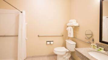 A bathroom with a toilet, sink, and handrails.