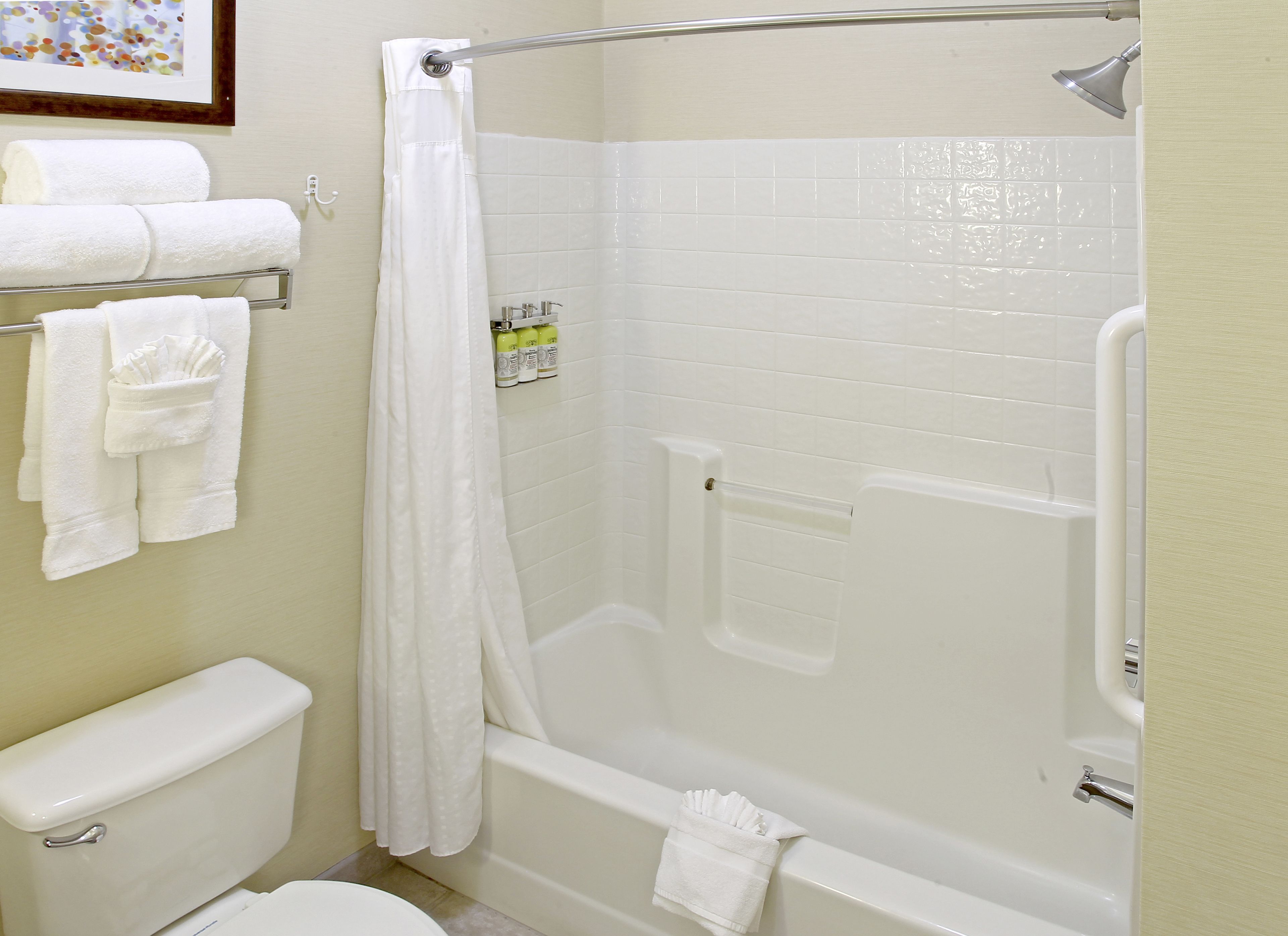 Une salle de bain avec une baignoire, des toilettes et un rideau de douche.