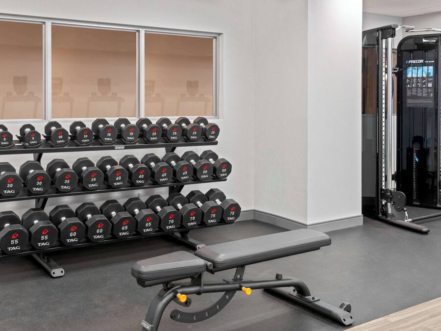 Une salle de sport équipée d’un banc, d’haltères et d’un support à squats.