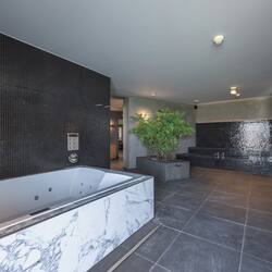 Sauna, hot tub, steam room, body treatments, body scrubs, facials
