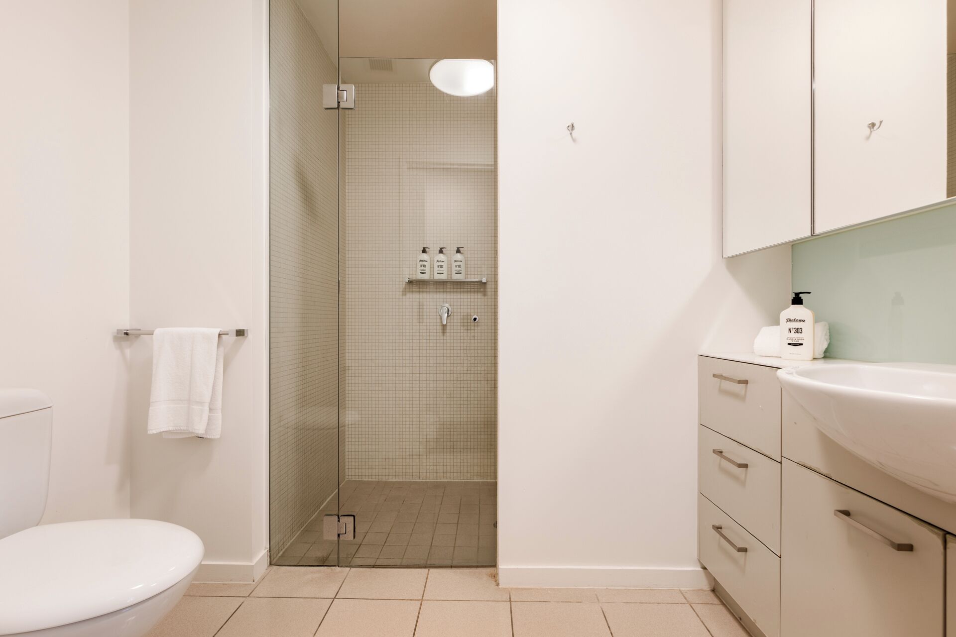 Ein Badezimmer mit Toilette, einer Duschkabine aus Glas, einem Waschbecken mit Spiegel und Ablage für Toilettenartikel.