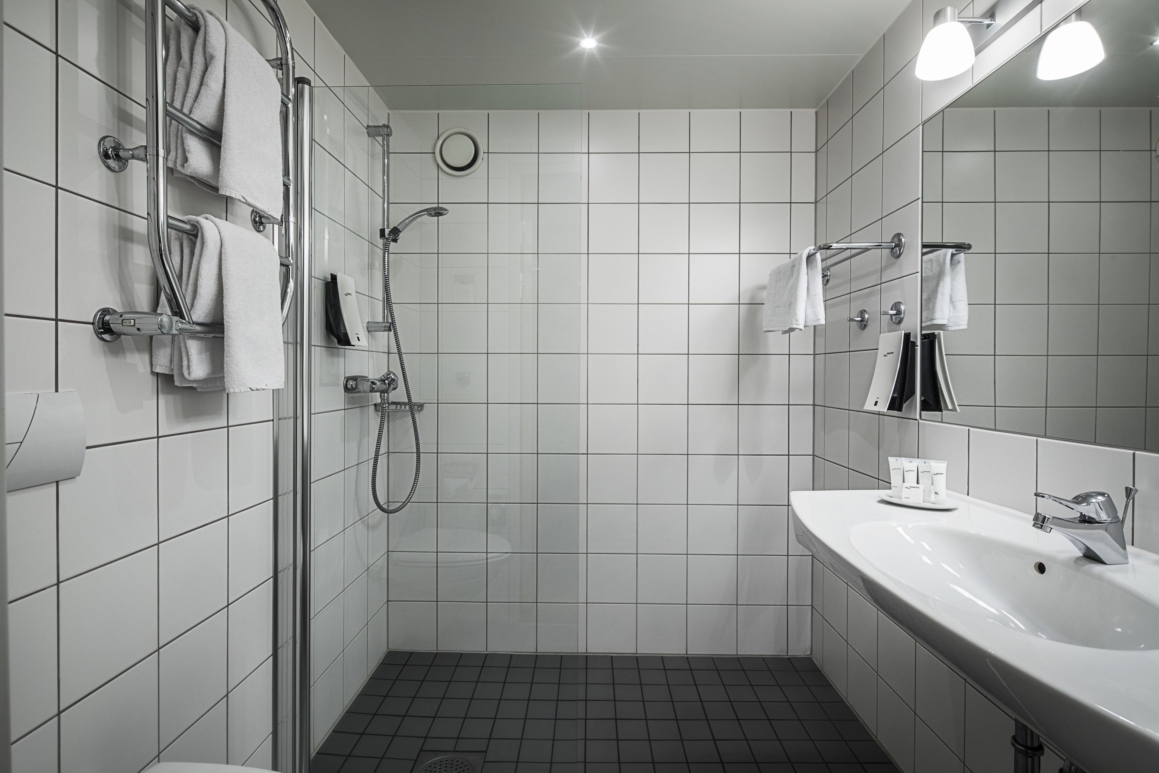 A modern bathroom with a shower, a sink, and a mirror.
