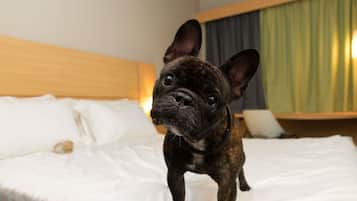 Un petit chien est allongé sur un lit dont le linge de lit est blanc et qui possède une tête de lit en bois.