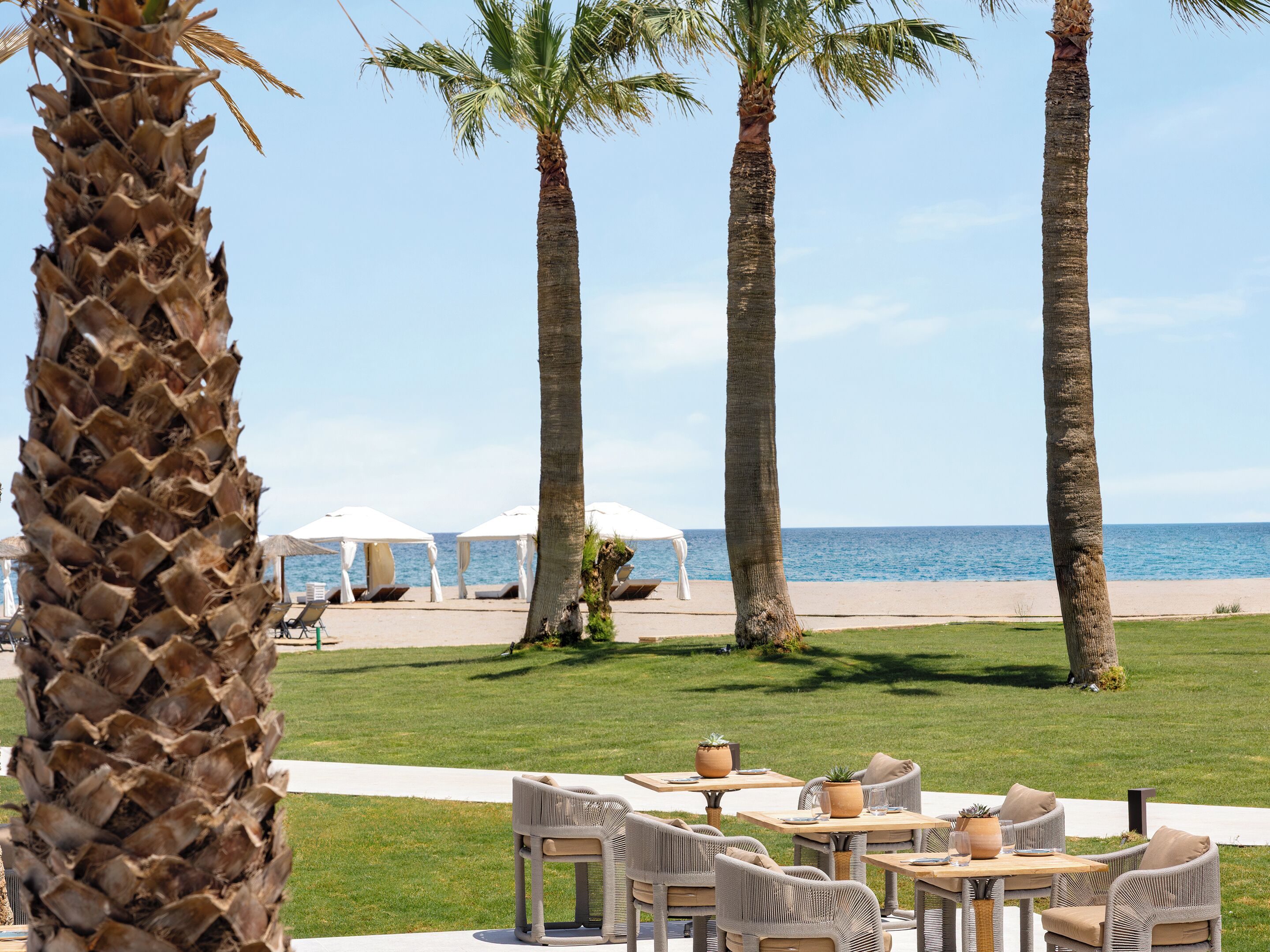 A beachside outdoor seating area with tables and chairs, palm trees, and beach umbrellas.
