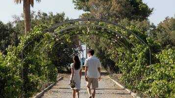 A pathway with an arched structure, surrounded by greenery and trees.