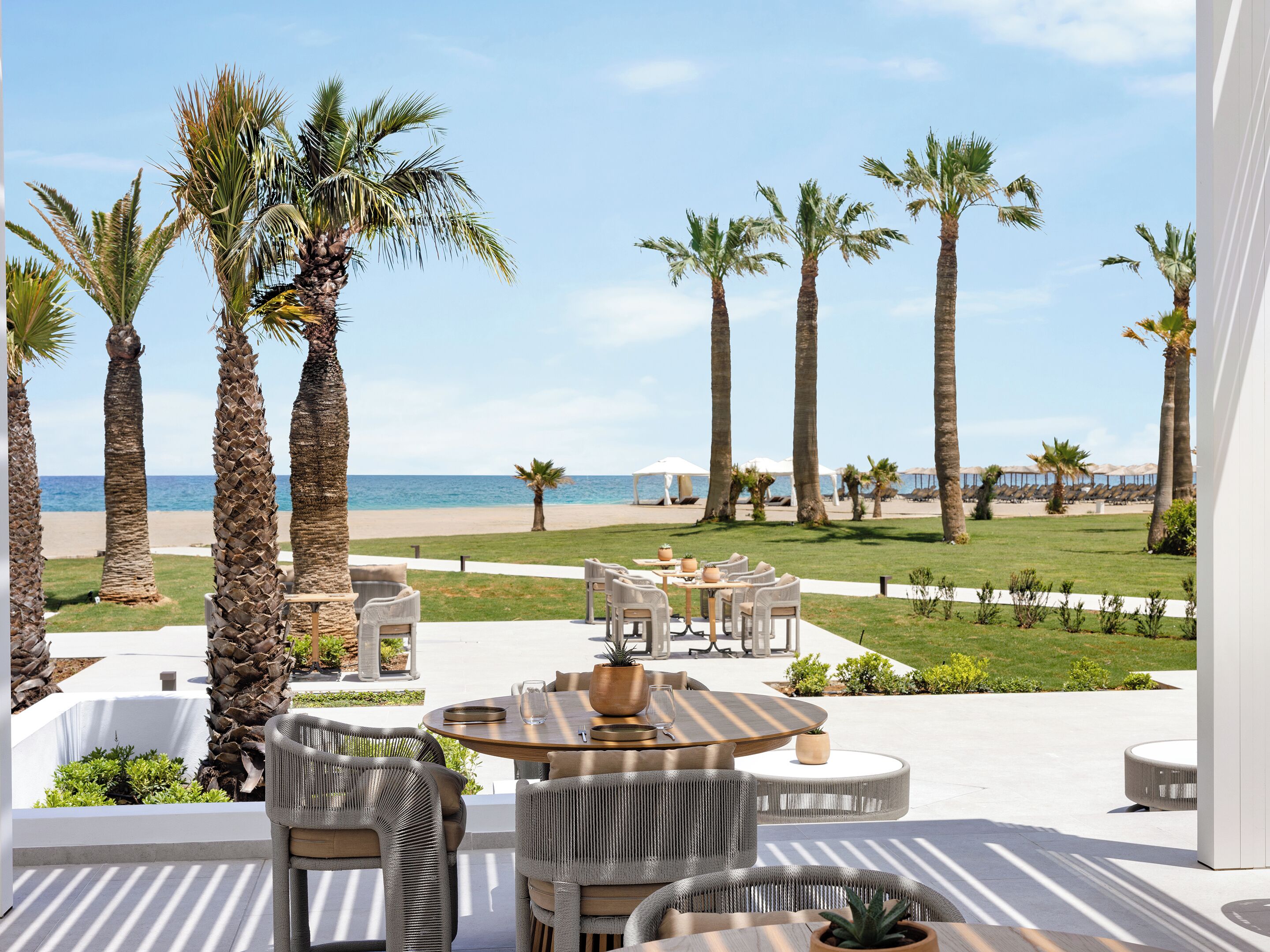 A terrace with outdoor seating, palm trees, and a view of the beach.