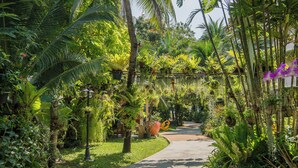 A pathway through a lush garden with various plants and trees. - MATCHA SAMUI RESORT (Koh Samui)