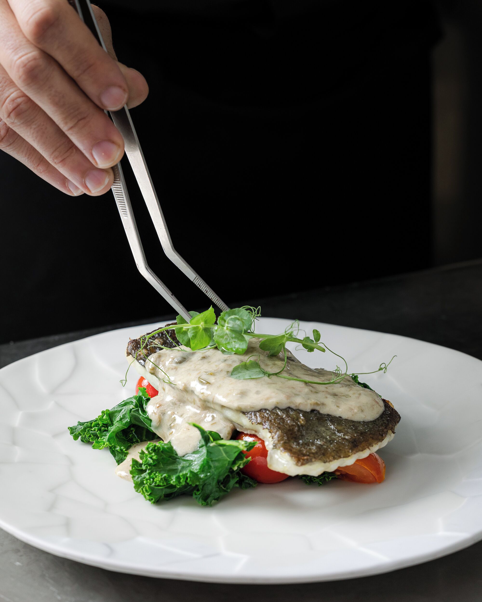 A plate with a fish fillet, greens, and a creamy sauce.