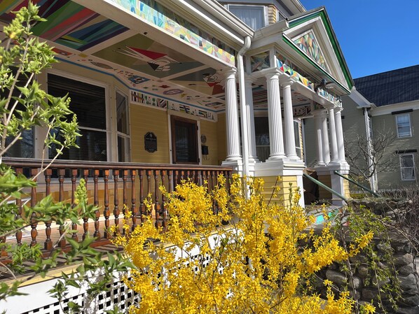 A house with a colorful ceiling, a porch with white columns, and yellow flowering bushes.