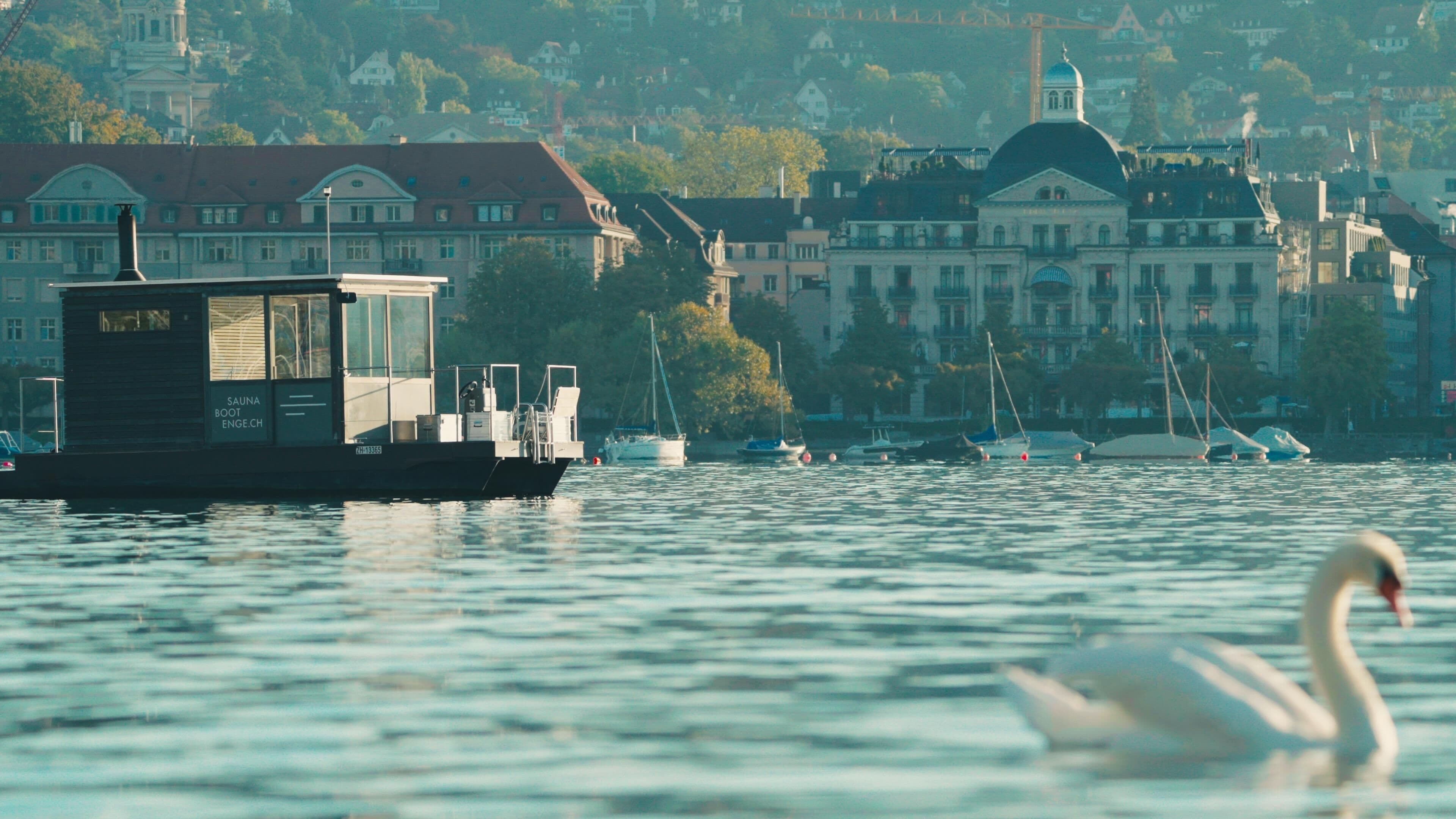 A boat with a sauna facility, a swan, and a cityscape with buildings in the background.